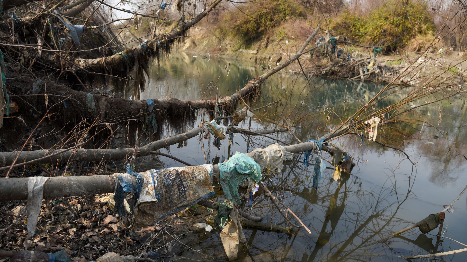 Plastic bags wrap around trees along the Sindh River in India