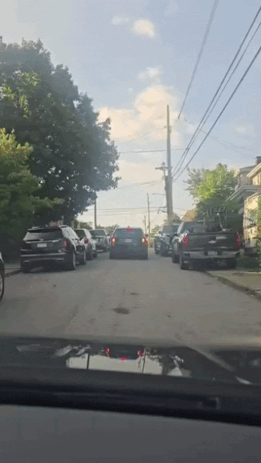 A video of a black SUV flashing red and blue lights before driving away on a tree lined street.