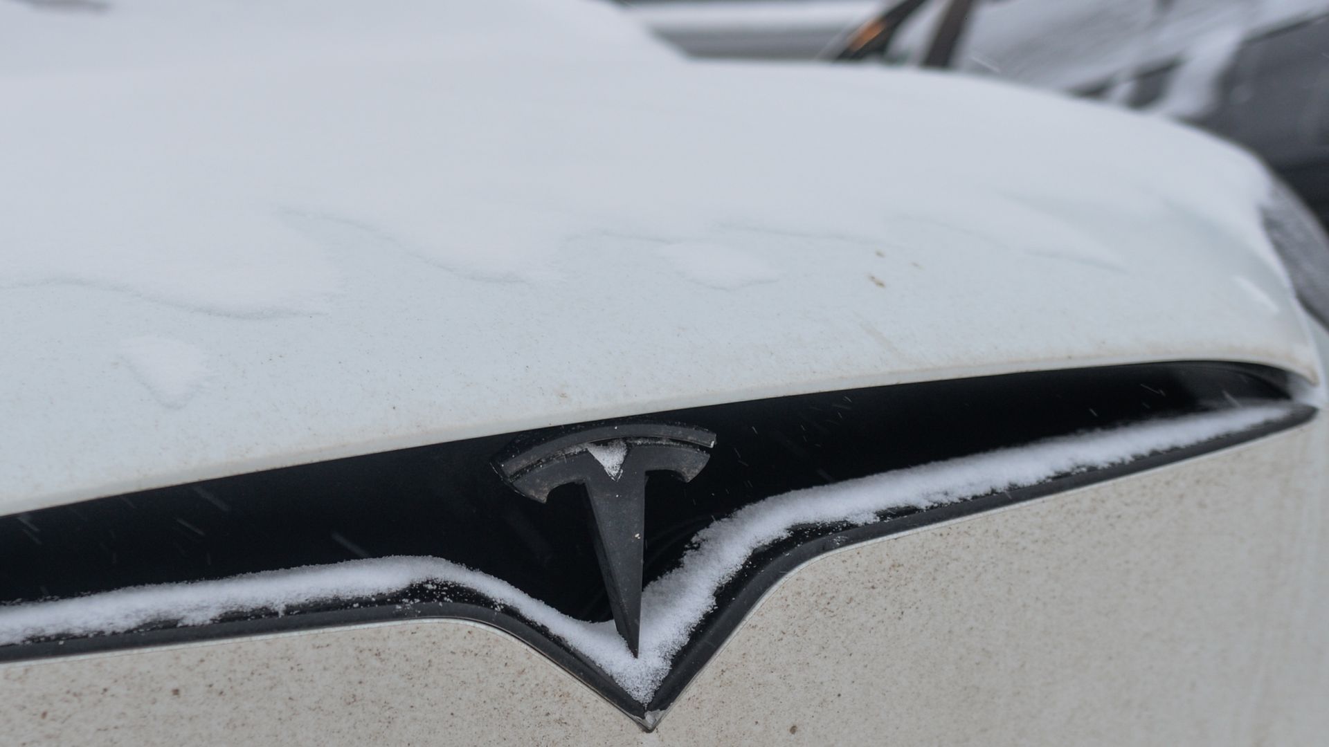 The hood and Tesla logo on a Tesla car covered in snow. 