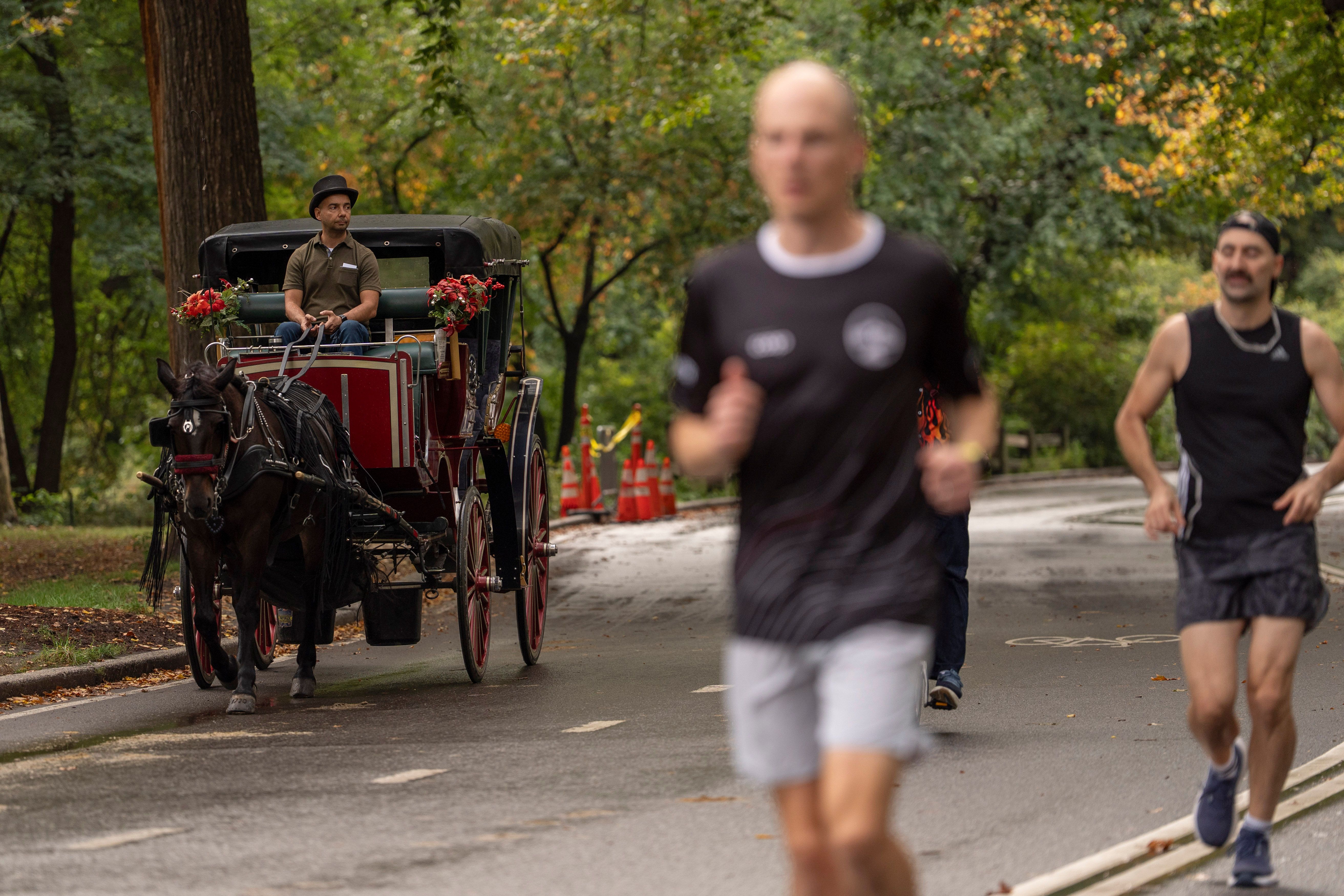 A horse-drawn carriage takes passengers for a loop through Central Park yesterday.