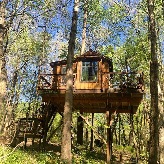 miss-molly-treehouse