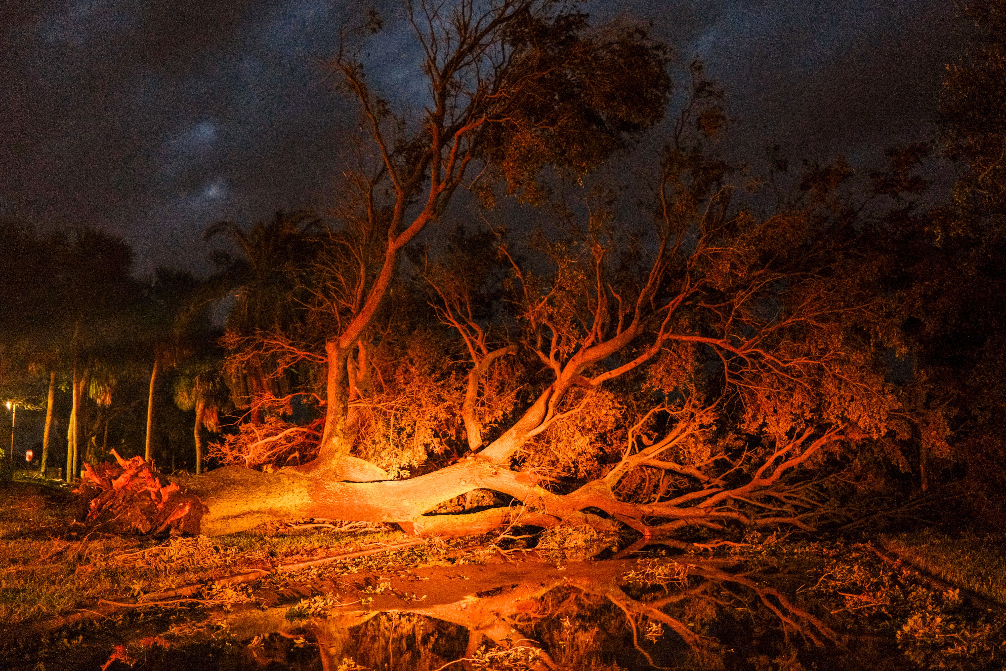 A downed tree blocks the entrance to Demens Landing after Hurricane Milton made landfall in St. Petersburg, Florida, US, on Thursday, Oct. 10, 2024. More than 3 million people are without power as of Thursday morning, after Hurricane Milton made landfall and crossed the state. Photographer: Tristan 