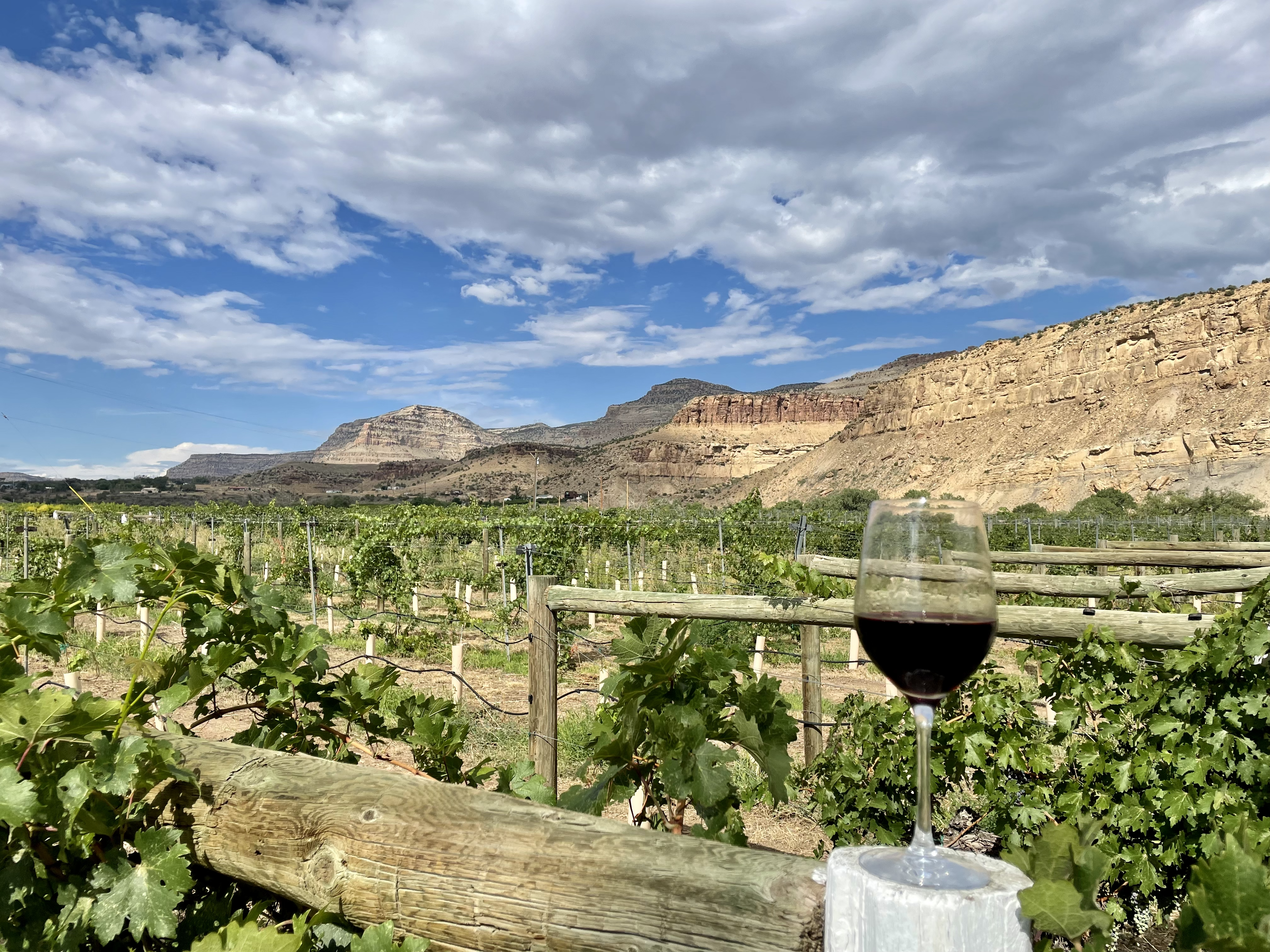 A glass of merlot at Colterris Vineyard. Photo: John Frank/Axios