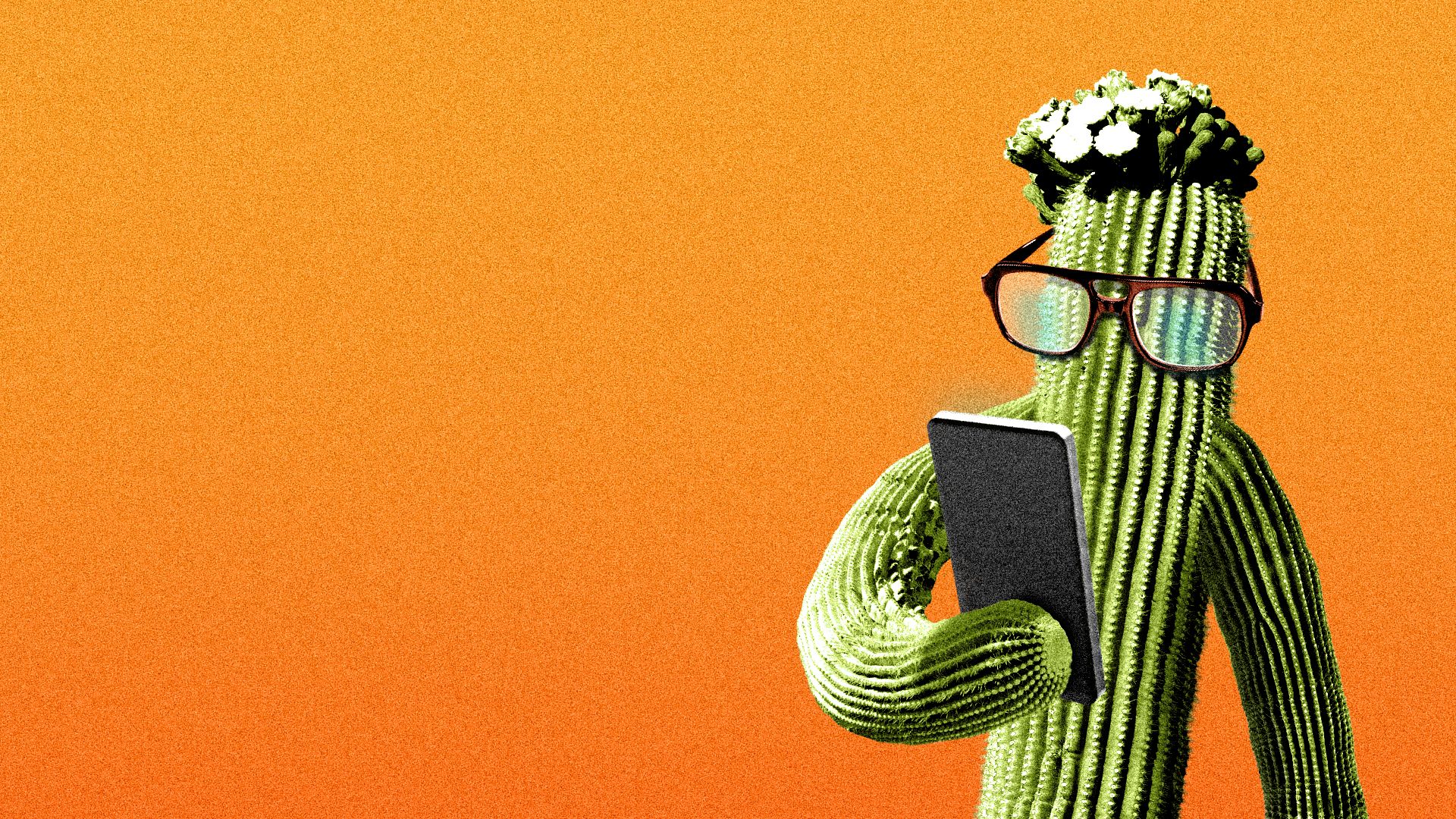 Illustration of a saguaro cactus wearing glasses and reading its phone.