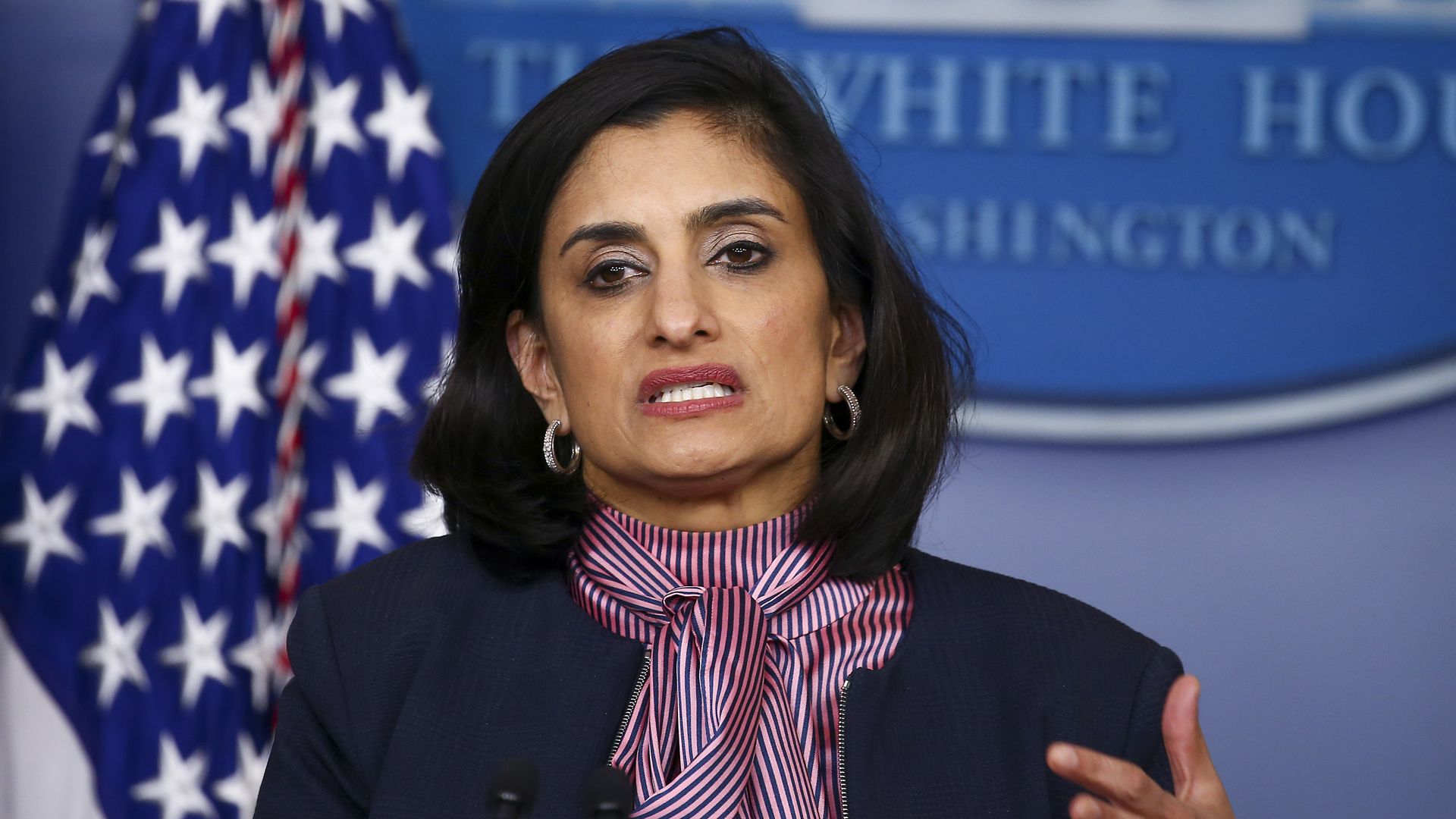 Seema Verma, administrator of the Centers for Medicare and Medicaid Services, speaks at the daily coronavirus briefing at the White House on April 19