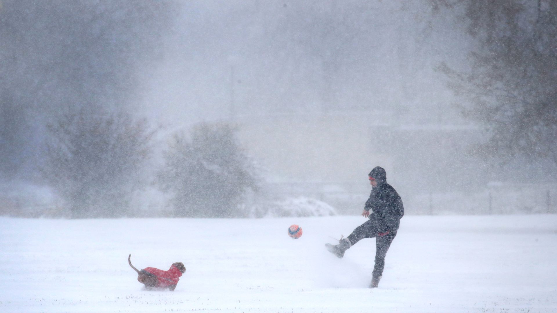A resident plays with his dog as snow falls in Humboldt Park on November 11, 2019 in Chicago