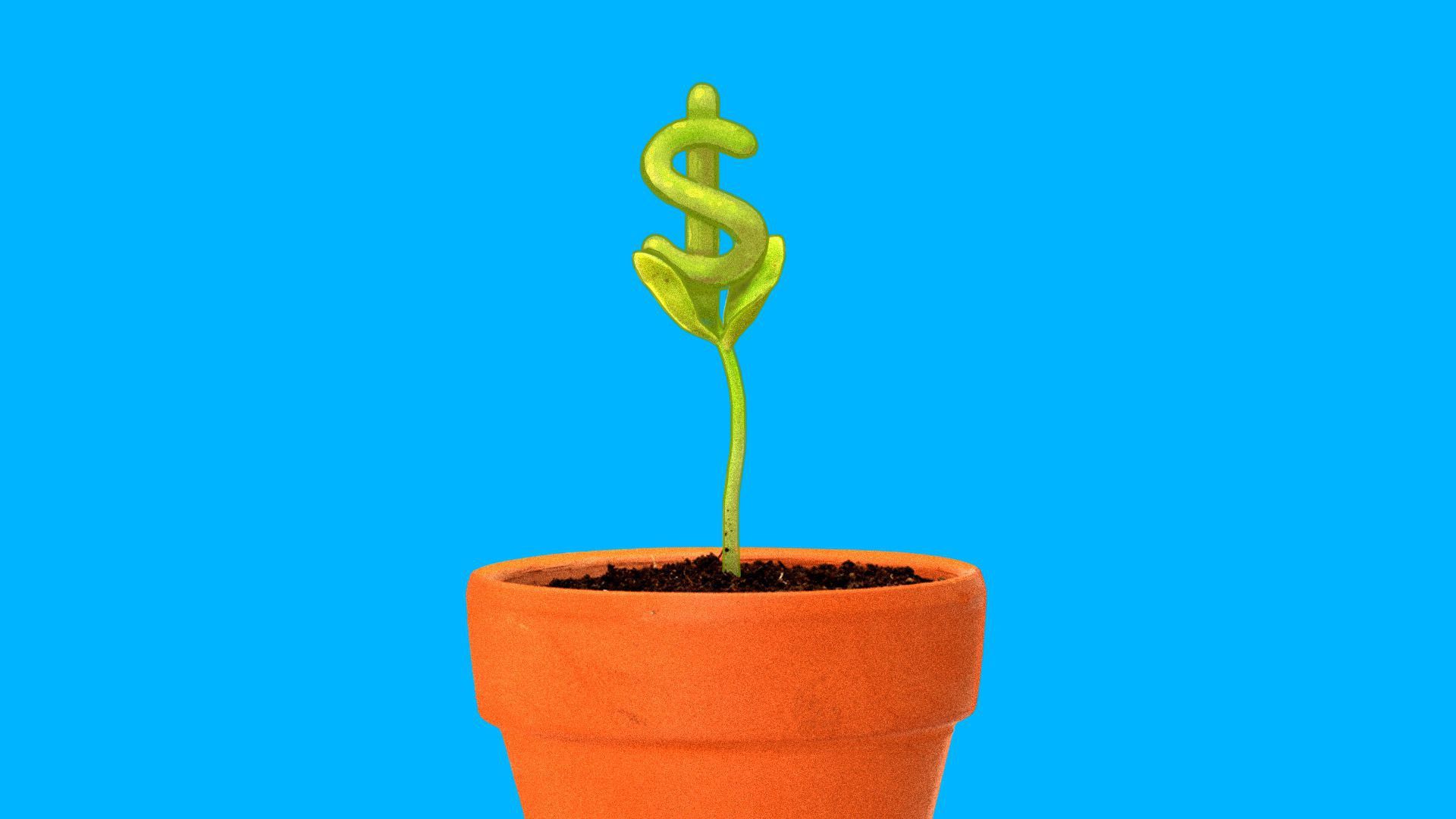 Dollar sign growing out of a plant