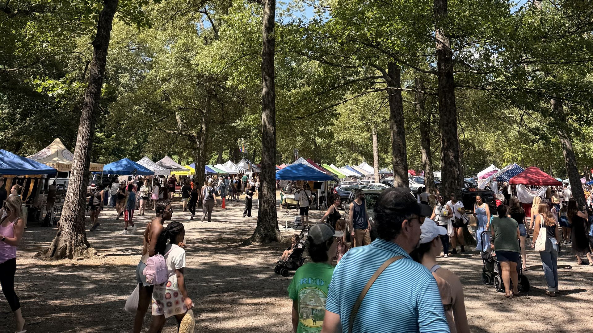Crowded outdoor market under tall trees with colorful vendor tents; people walk, shop, and chat at a sunny park festival.