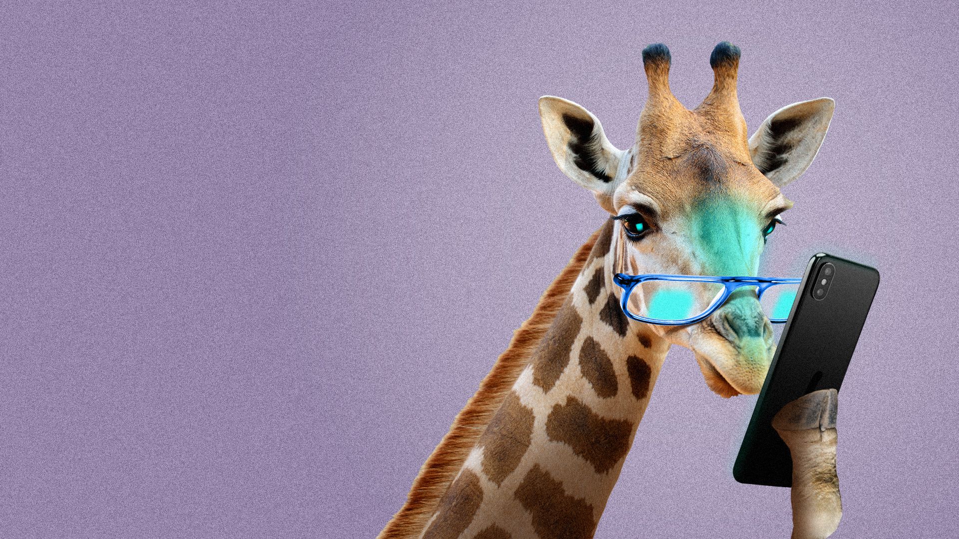 Illustration of a giraffe wearing reading glasses and reading its phone.