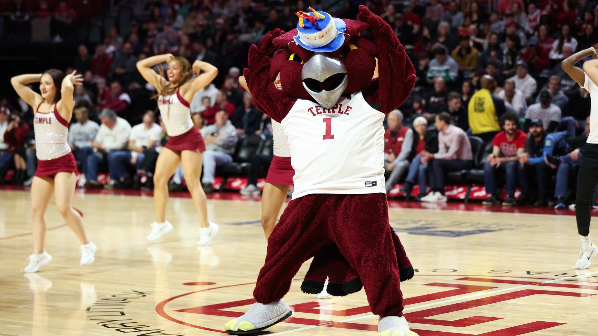 Temple's mascot, Hooter