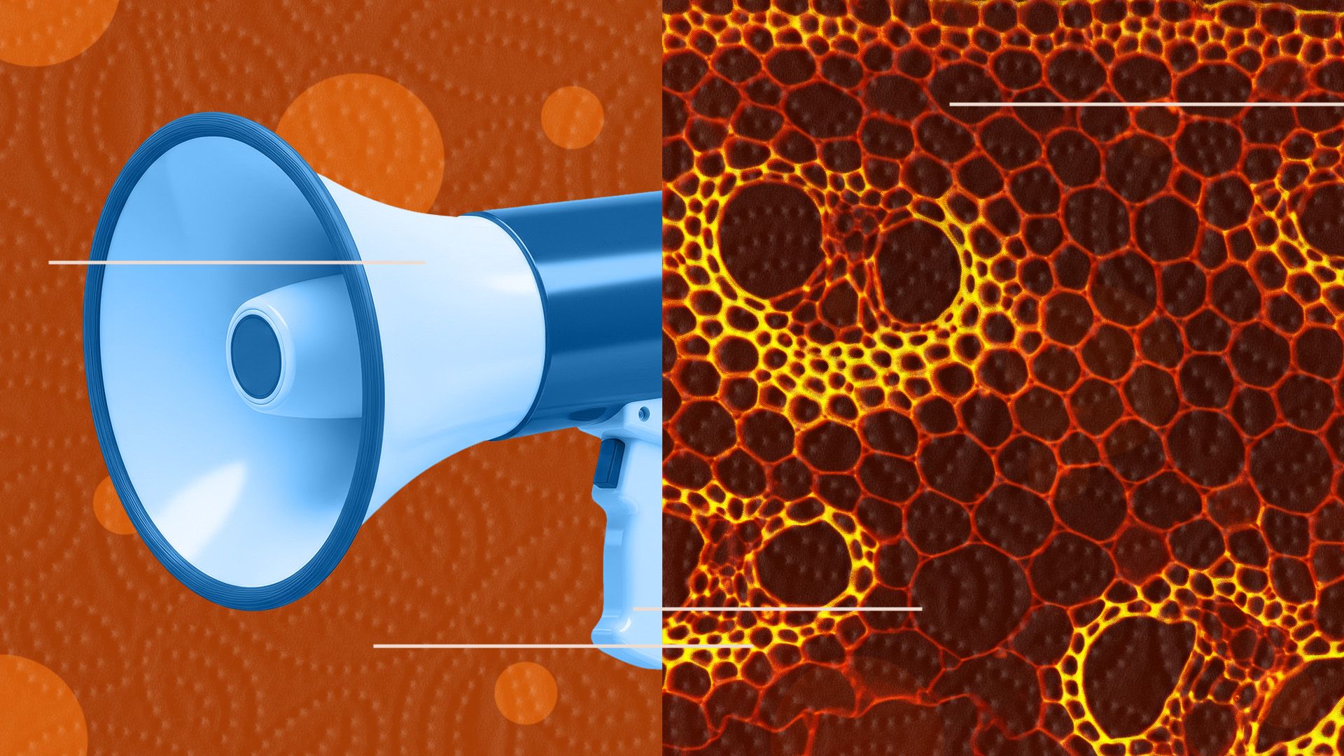 Illustrated collage of a megaphone on a textured background surrounded by abstract lines and microscopic cell imagery.