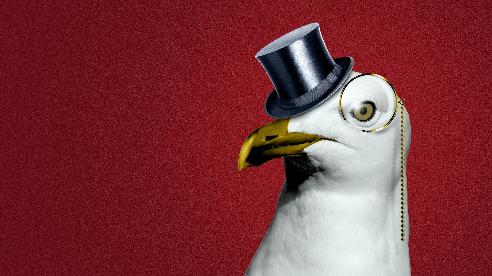 Illustration of a seagull wearing a top hat and monocle.