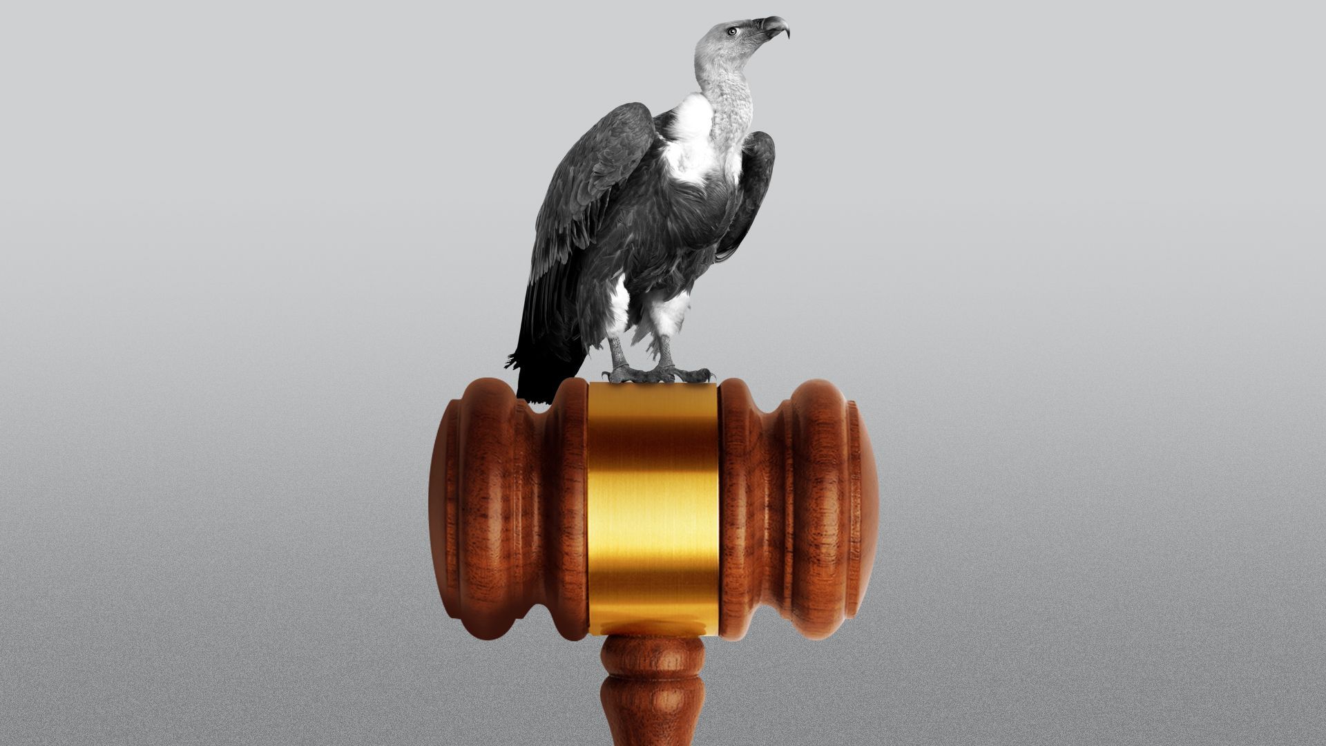 Illustration of a vulture perched on a large gavel