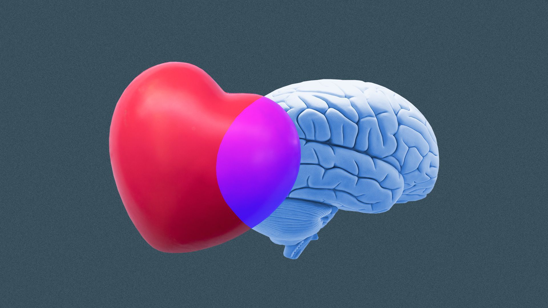 A stylized image of a heart colliding with a brain.