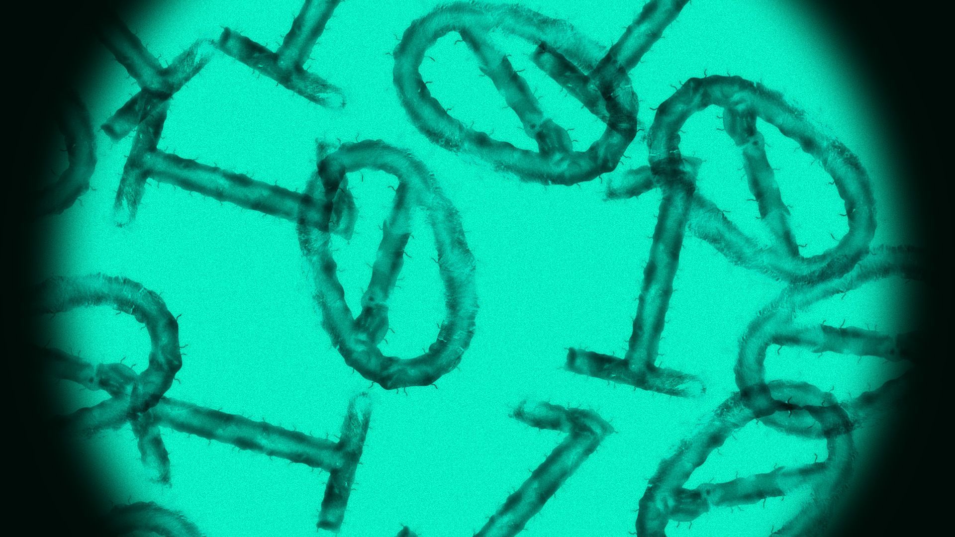 Illustration of bacteria under a lens in the shape of binary code