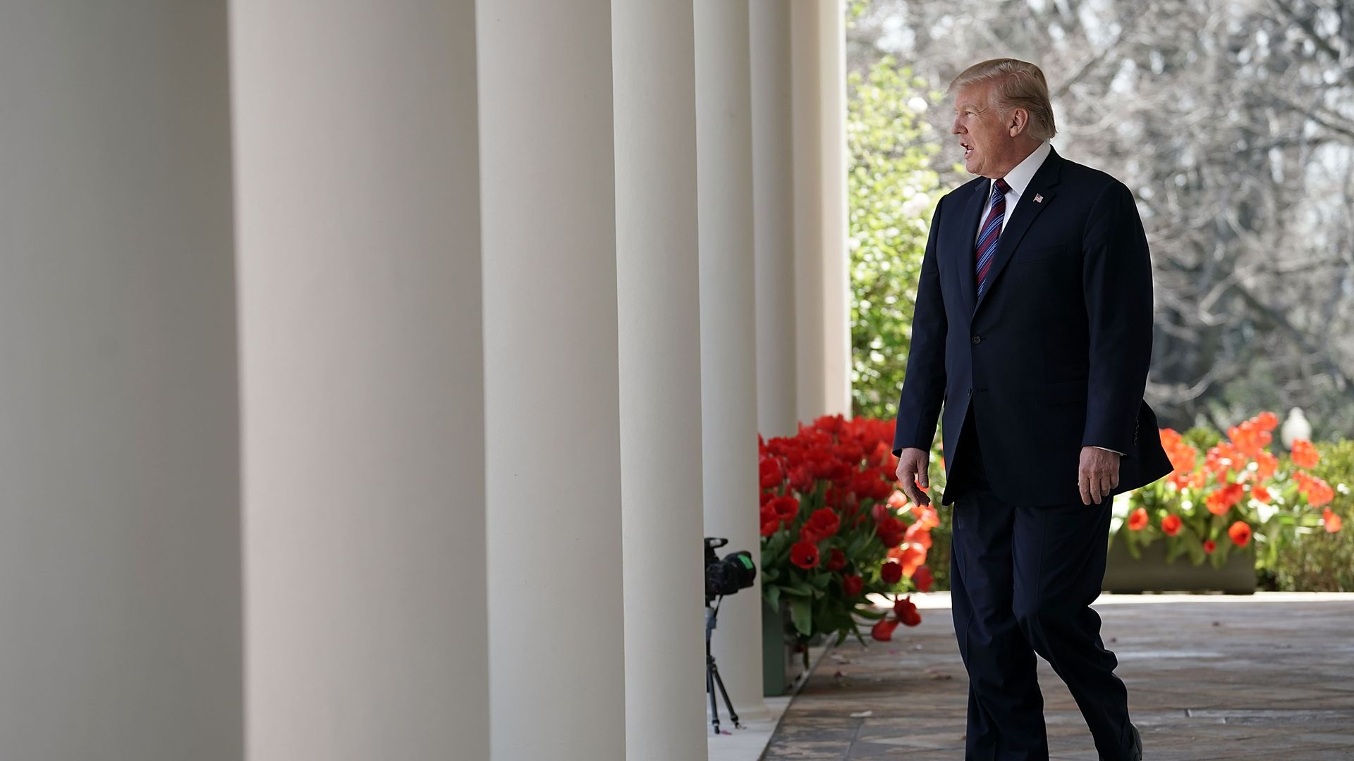 Trump enters the Rose Garden through columns