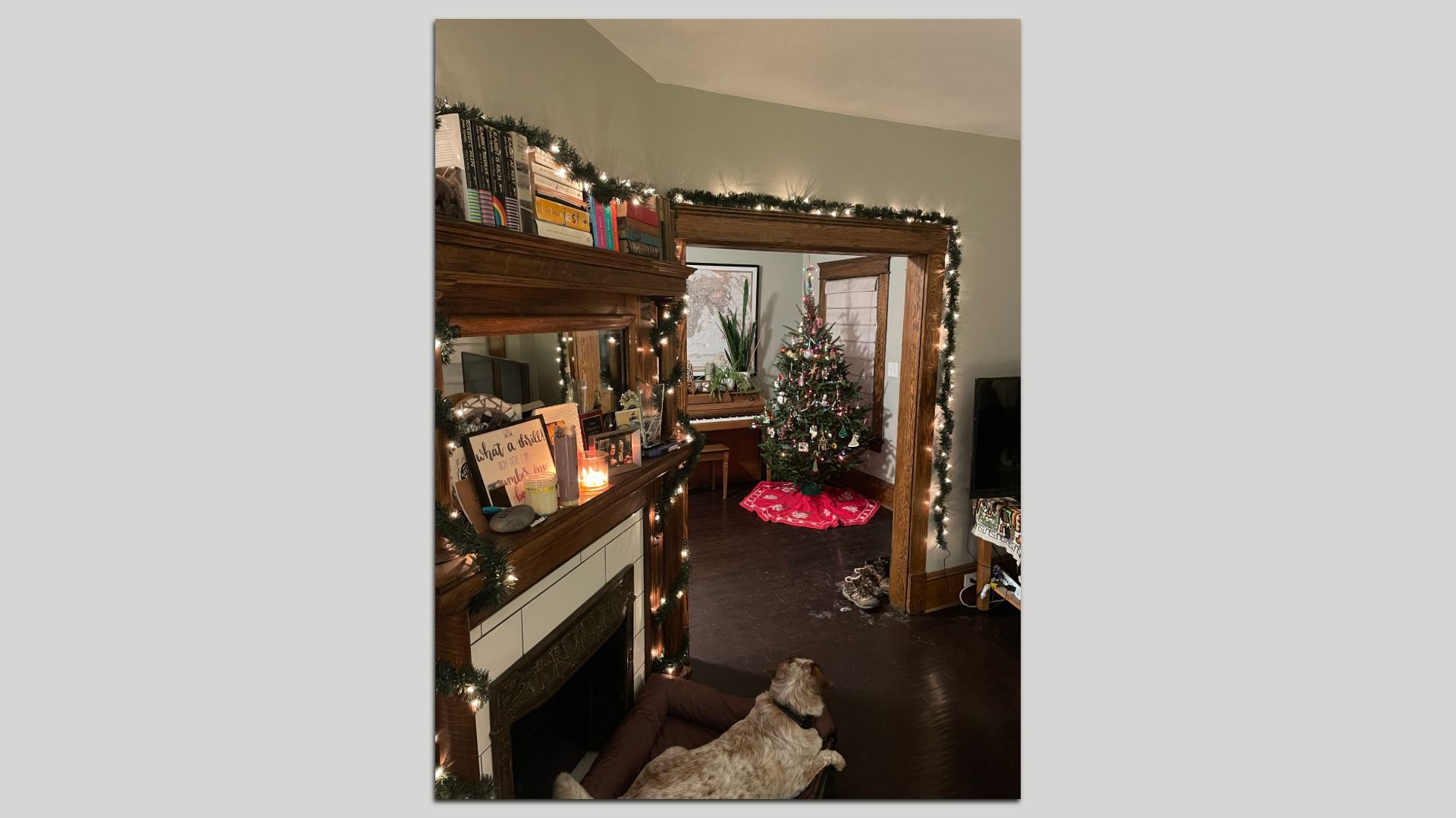 Living room decorated for Christmas with garland lights around a wooden fireplace and doorway. A dog lies on a bed by the fireplace. A decorated Christmas tree stands on a red skirt.