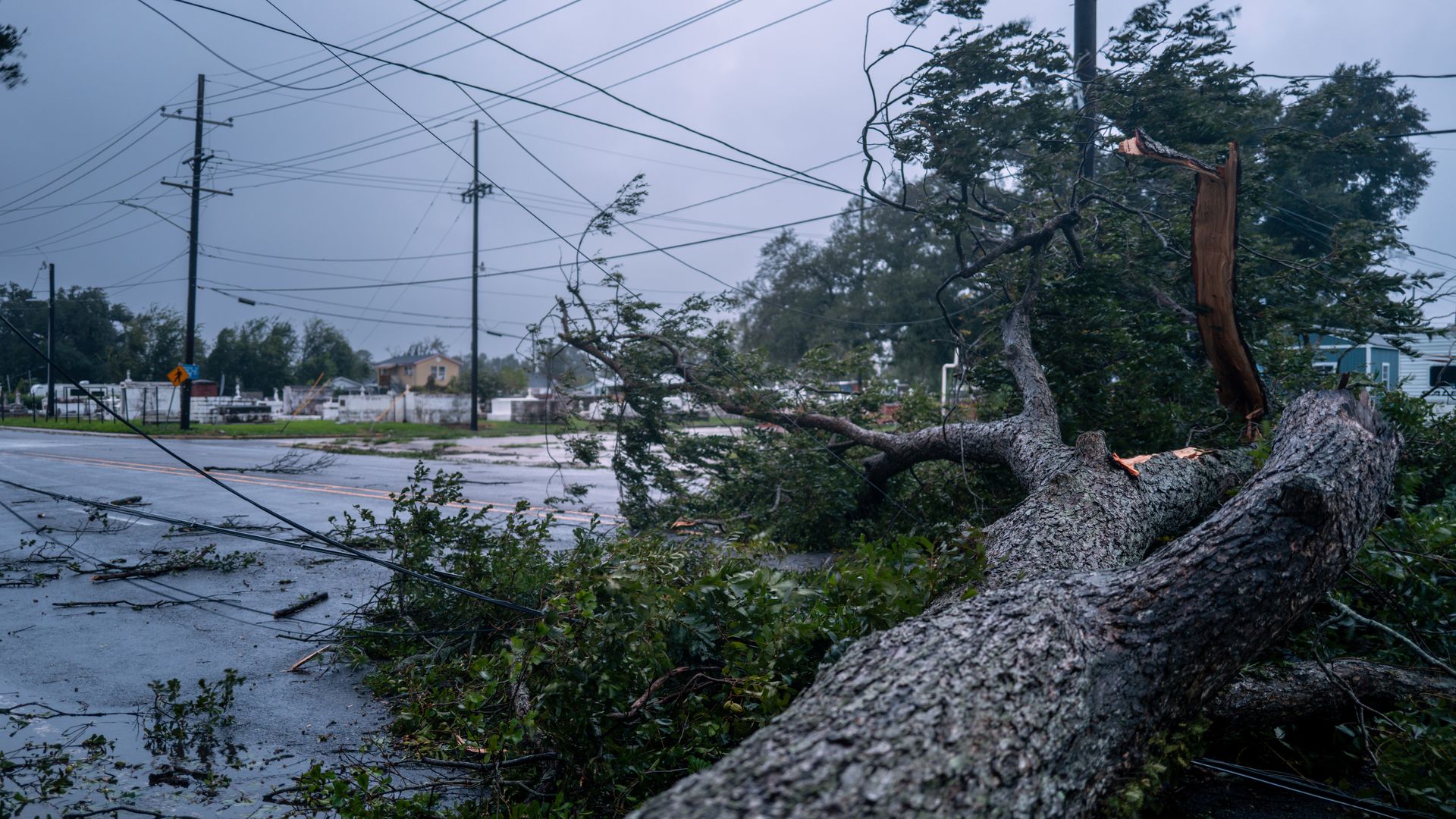 Hurricane Francine aftermath What to know Thursday in New Orleans