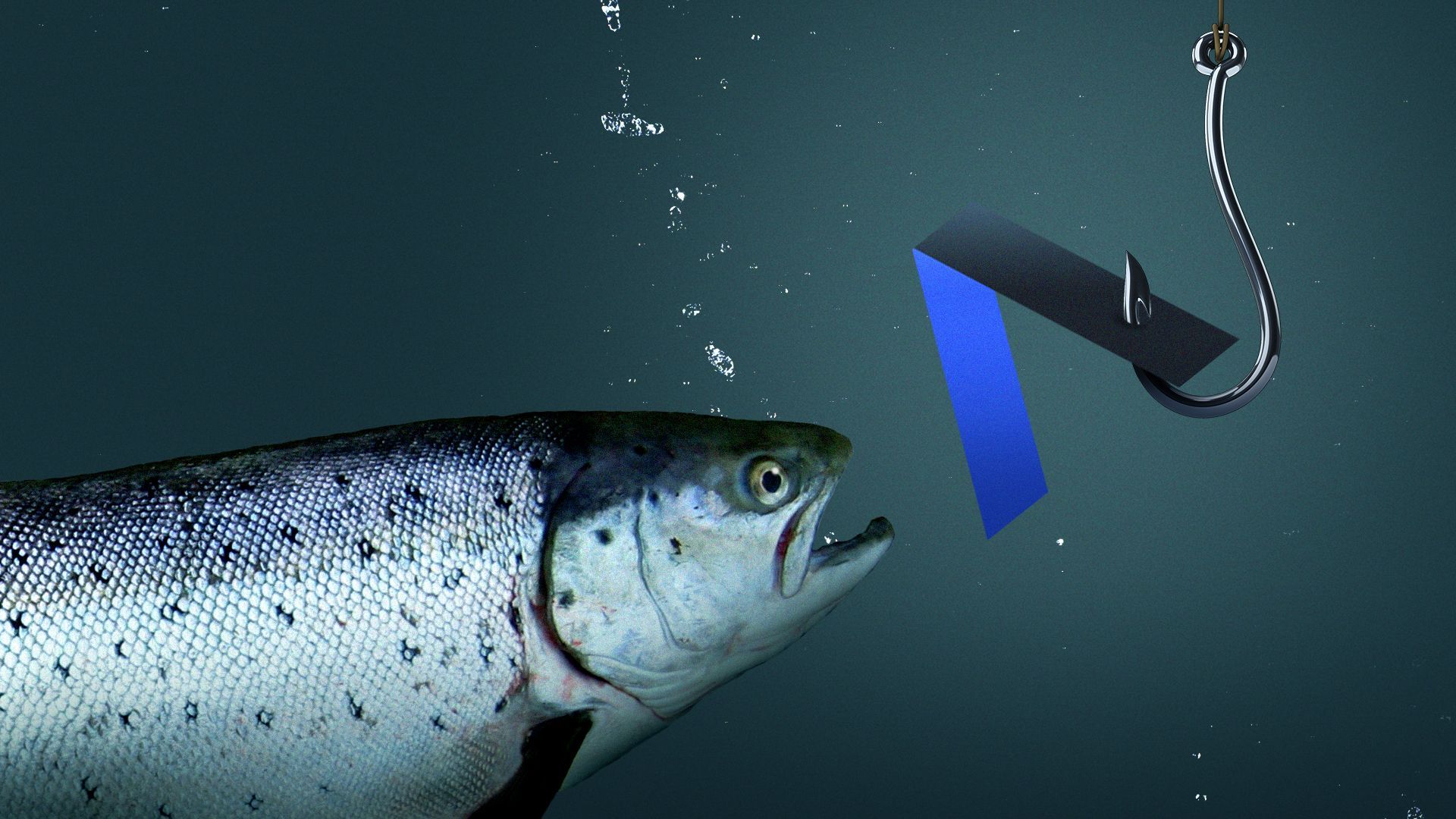 Illustration of a salmon swimming towards a hook, with the Axios logo as bait.