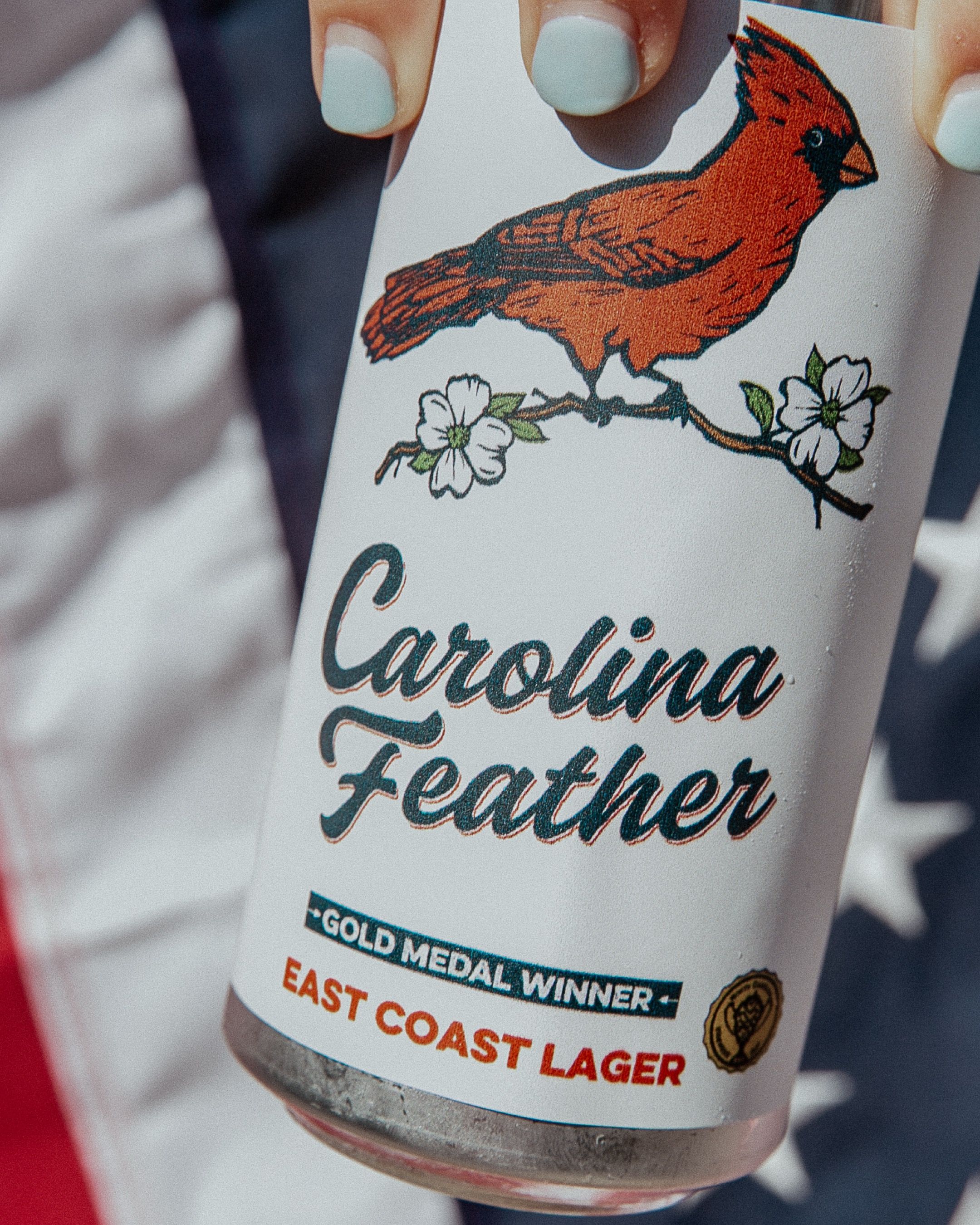 Hand holding a can with a red cardinal perched on a branch with white flowers illustration, labeled "Carolina Feather" gold medal winner East Coast Lager in blue and red text.