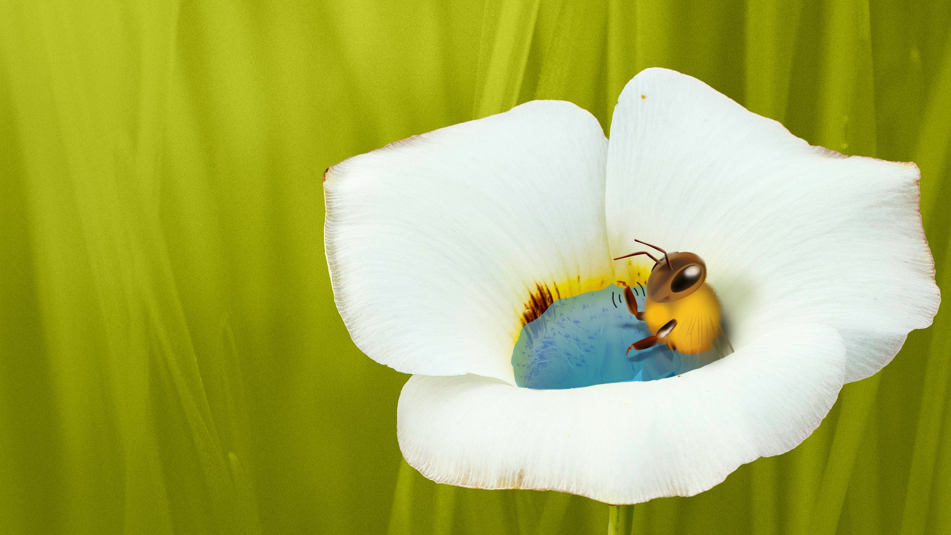 Illustration of a smiling and waving bee hanging out in a pool of rainwater in a Sego Lily flower.