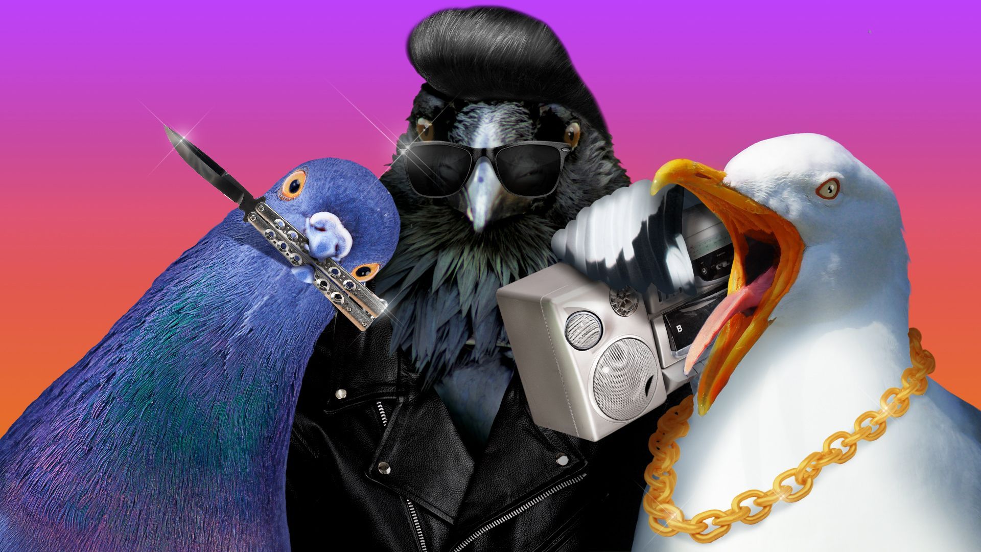 Illustration of a crow with a pompadour and a leather jacket, a seagull screaming holding a boombox, and a pigeon holding a butterfly knife in its beak. 