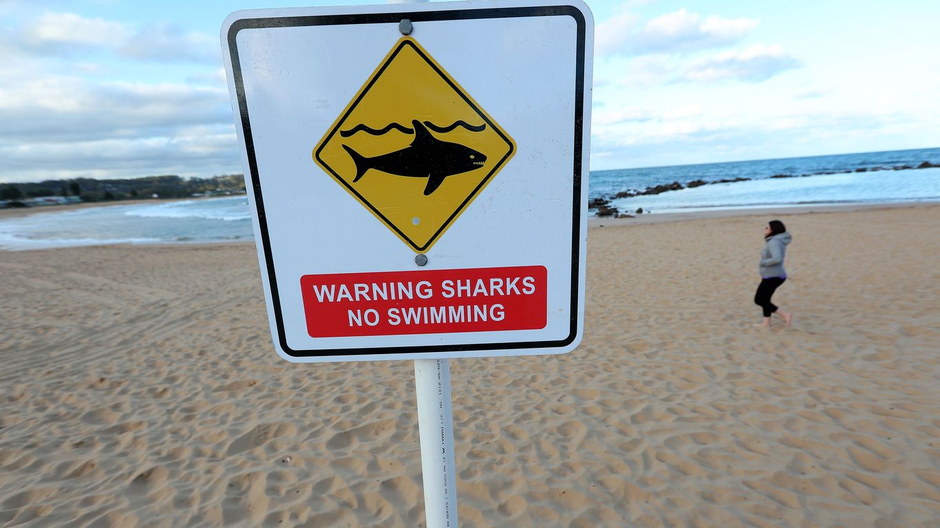 Massachusetts records its first shark attack death since 1936