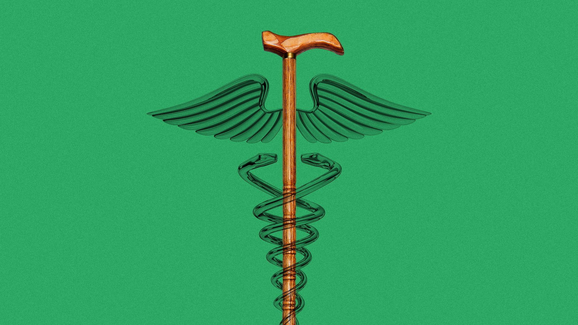 Illustration of a cane forming the center staff of a caduceus.
