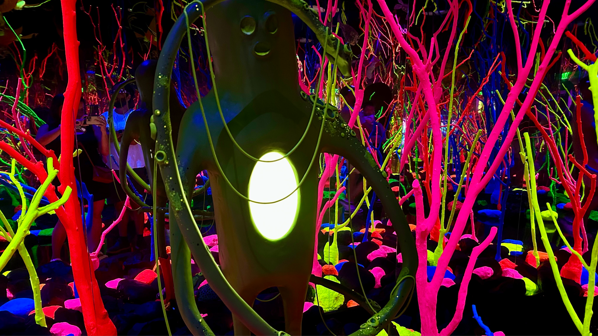 A photo of neon squiggly lights inside Meow Wolf