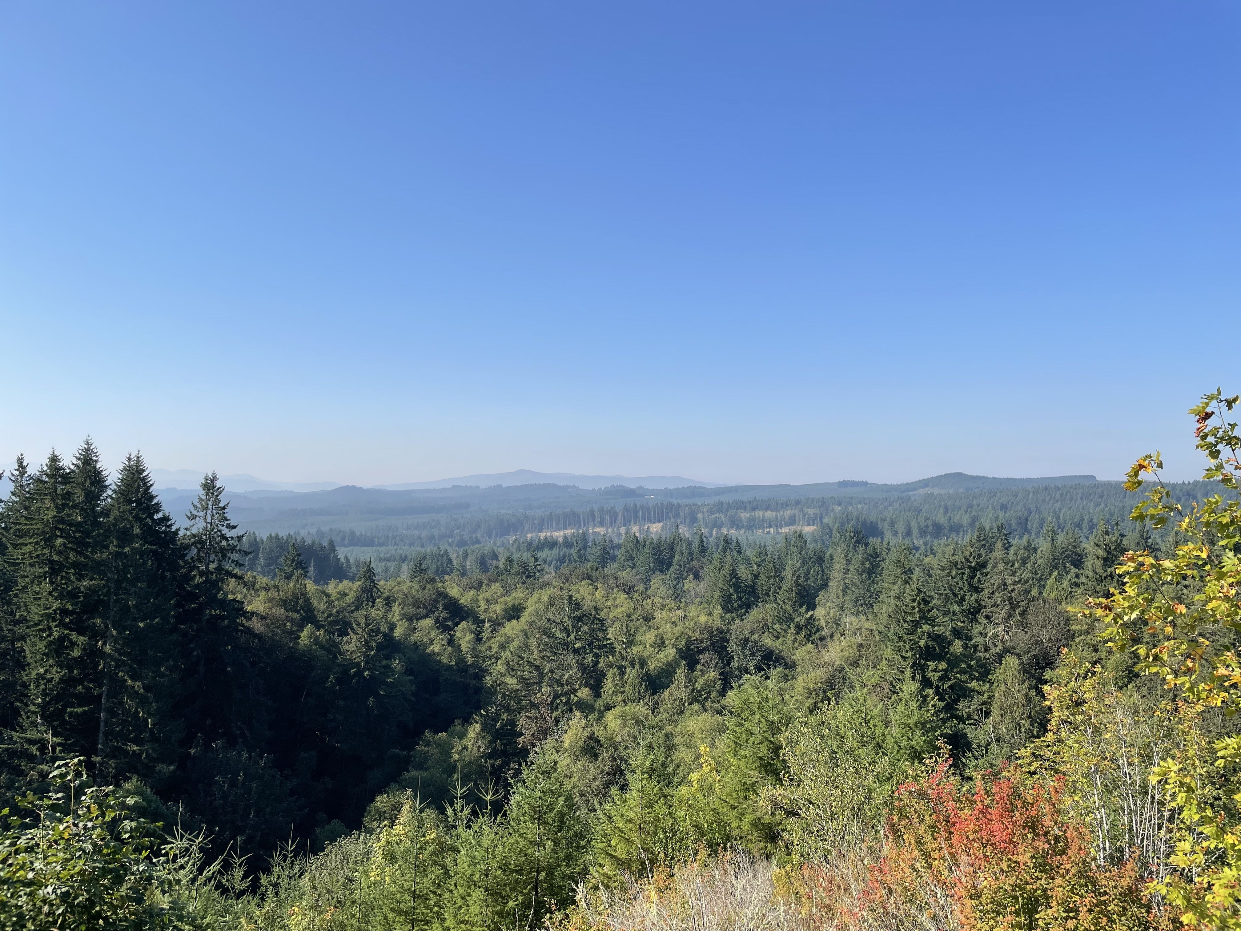 An image of the overlook viewpoint area of L. L. Stub Stewart State Park.