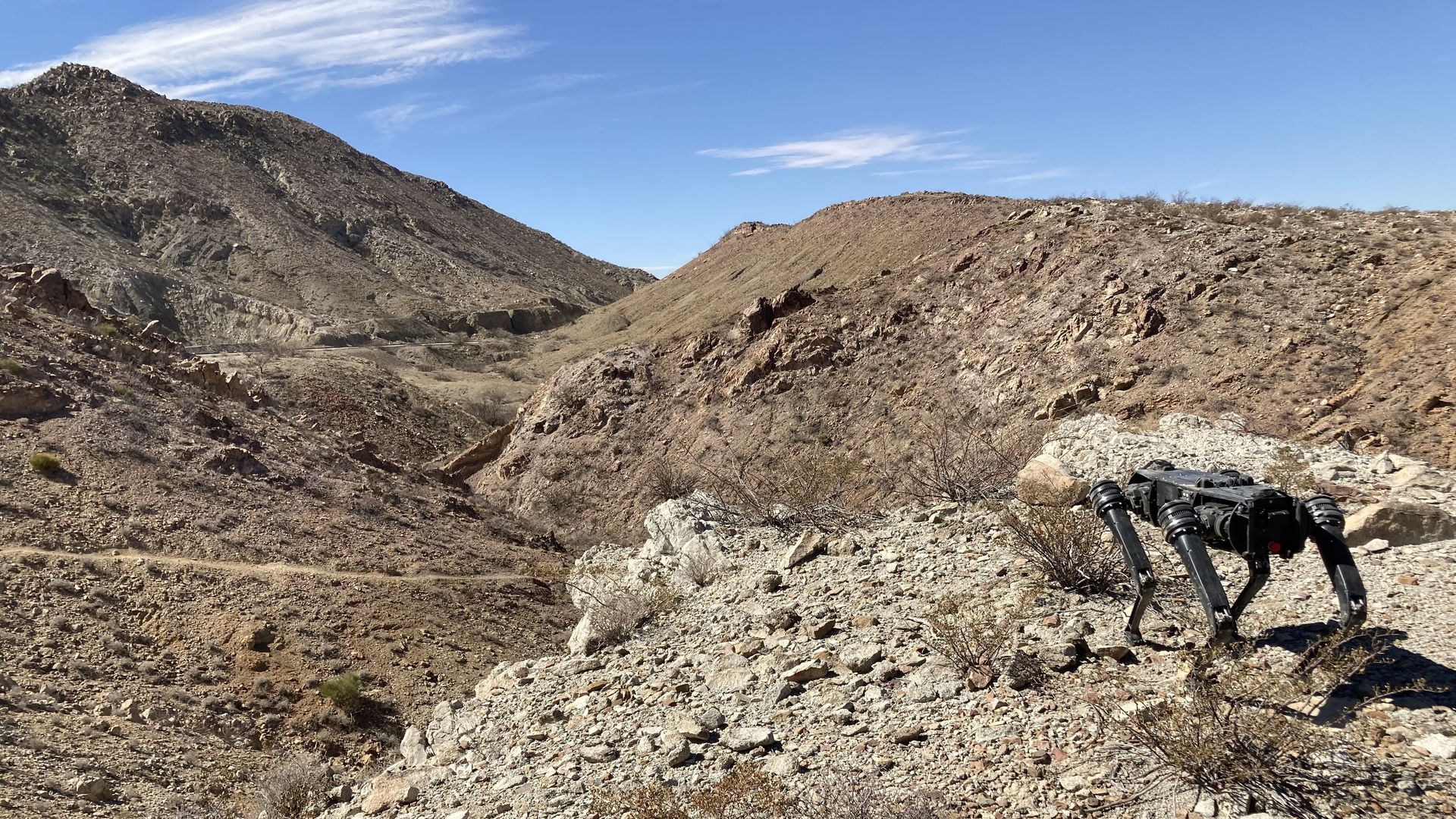 A robot dog overlooking the U.S.-Mexico border. 