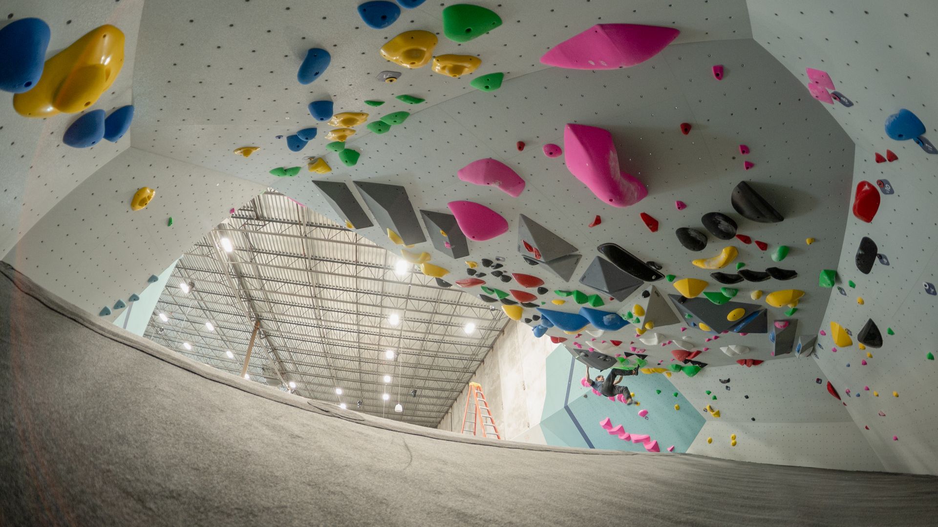 A colorful rock climbing wall at Movement Gyms.