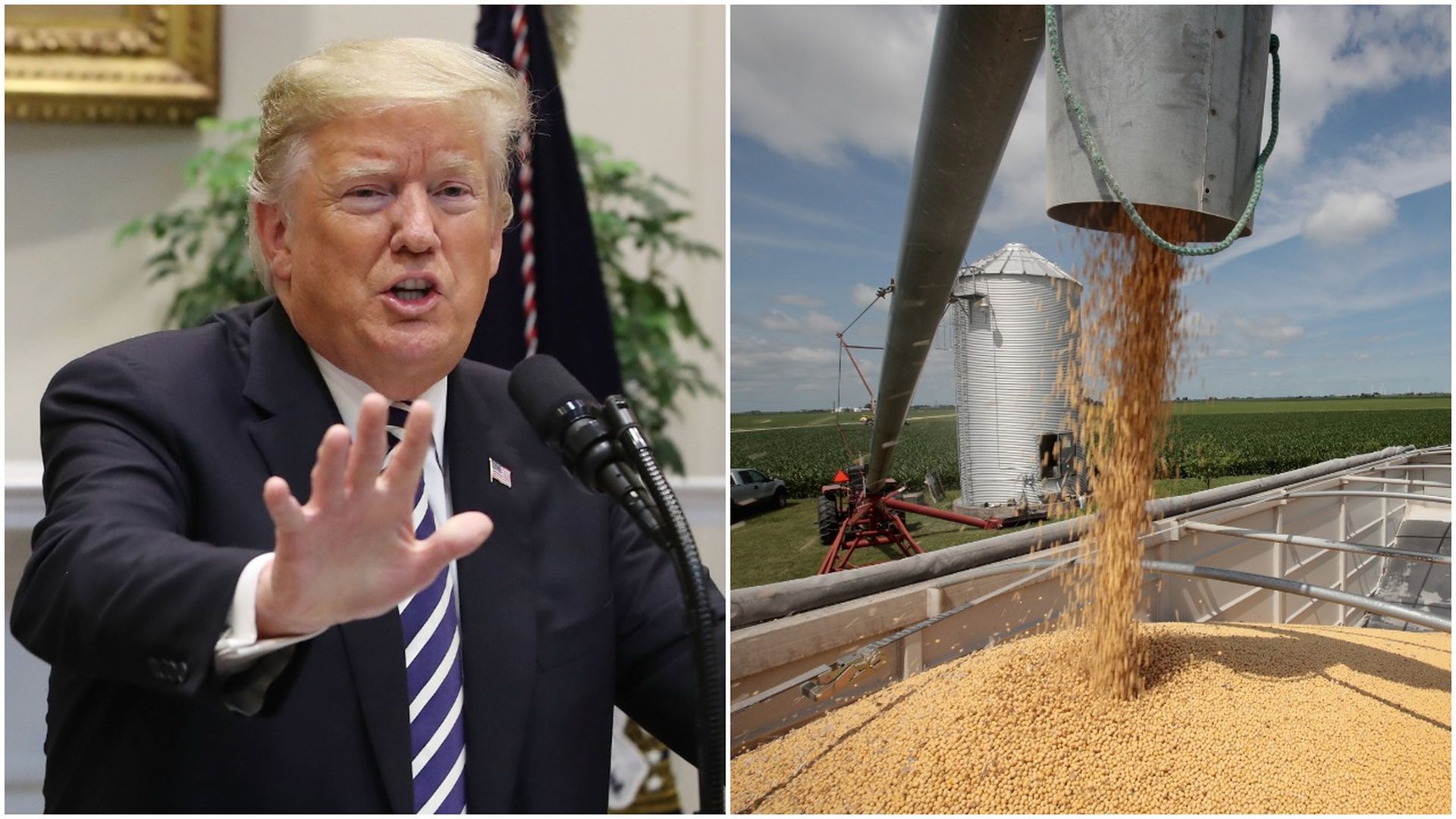 Trump and soybeans