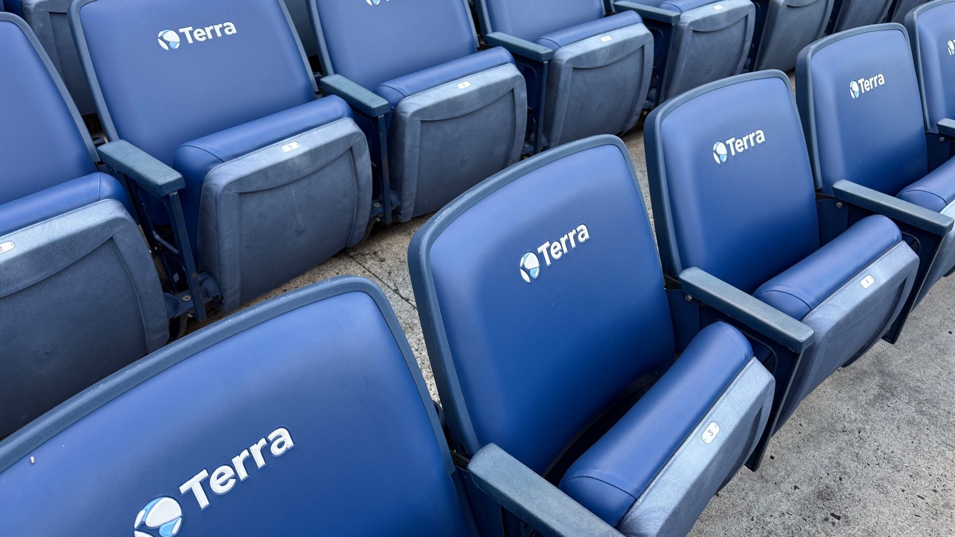 Rows of blue stadium seats with armrests, each branded with the white Terra logo on the backrest, arranged on a concrete floor.