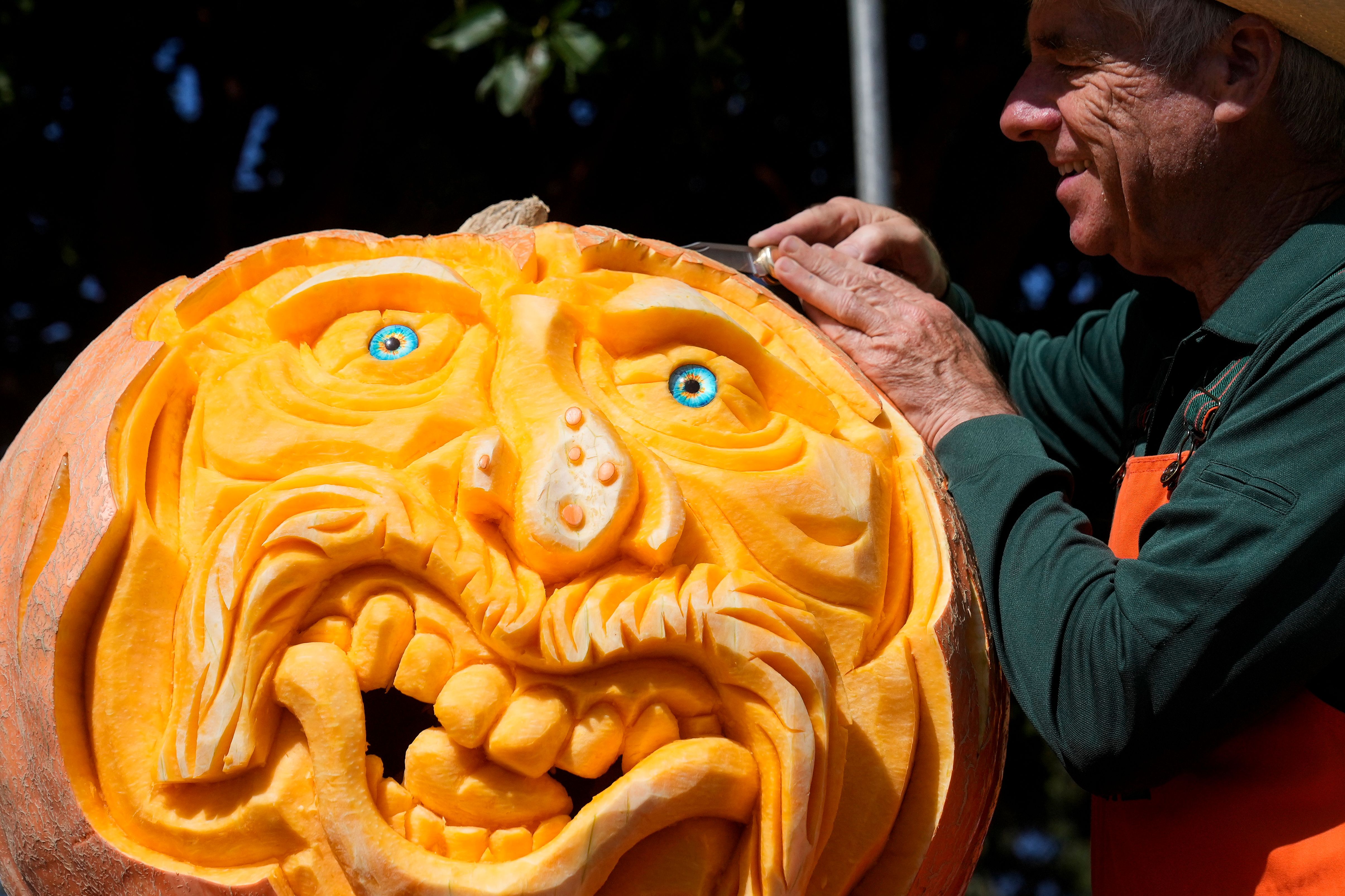 Farmer Mike Valladao carves a pumpkin at the Safeway World Championship Pumpkin Weigh-Off in Half Moon Bay, Calif., earlier this month.