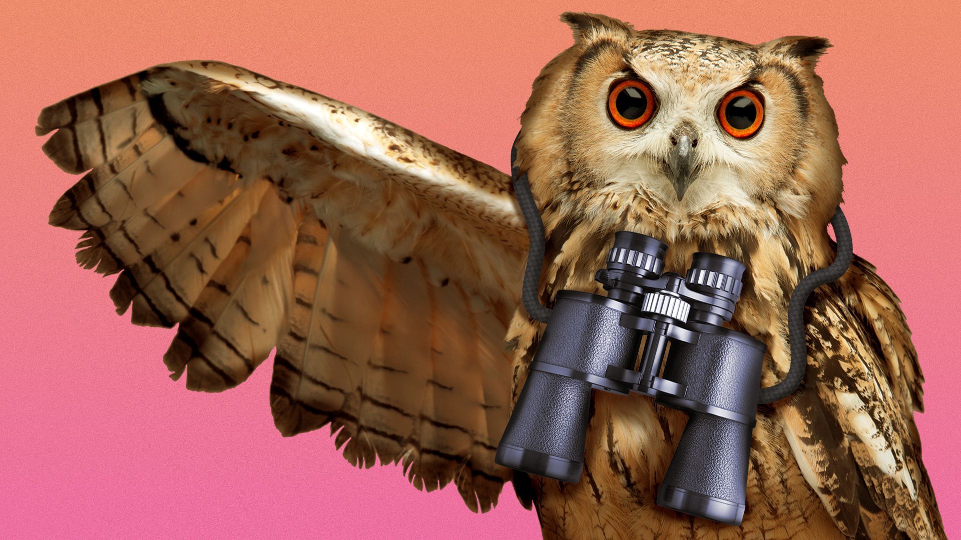 Illustration of an owl wearing a pair of binoculars and pointing its wing to the left.