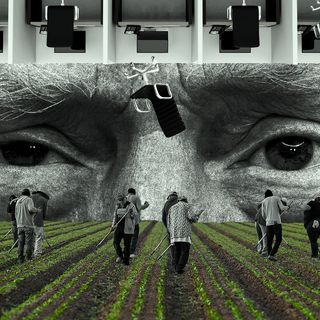 The surprise winners of Trump's immigration wars