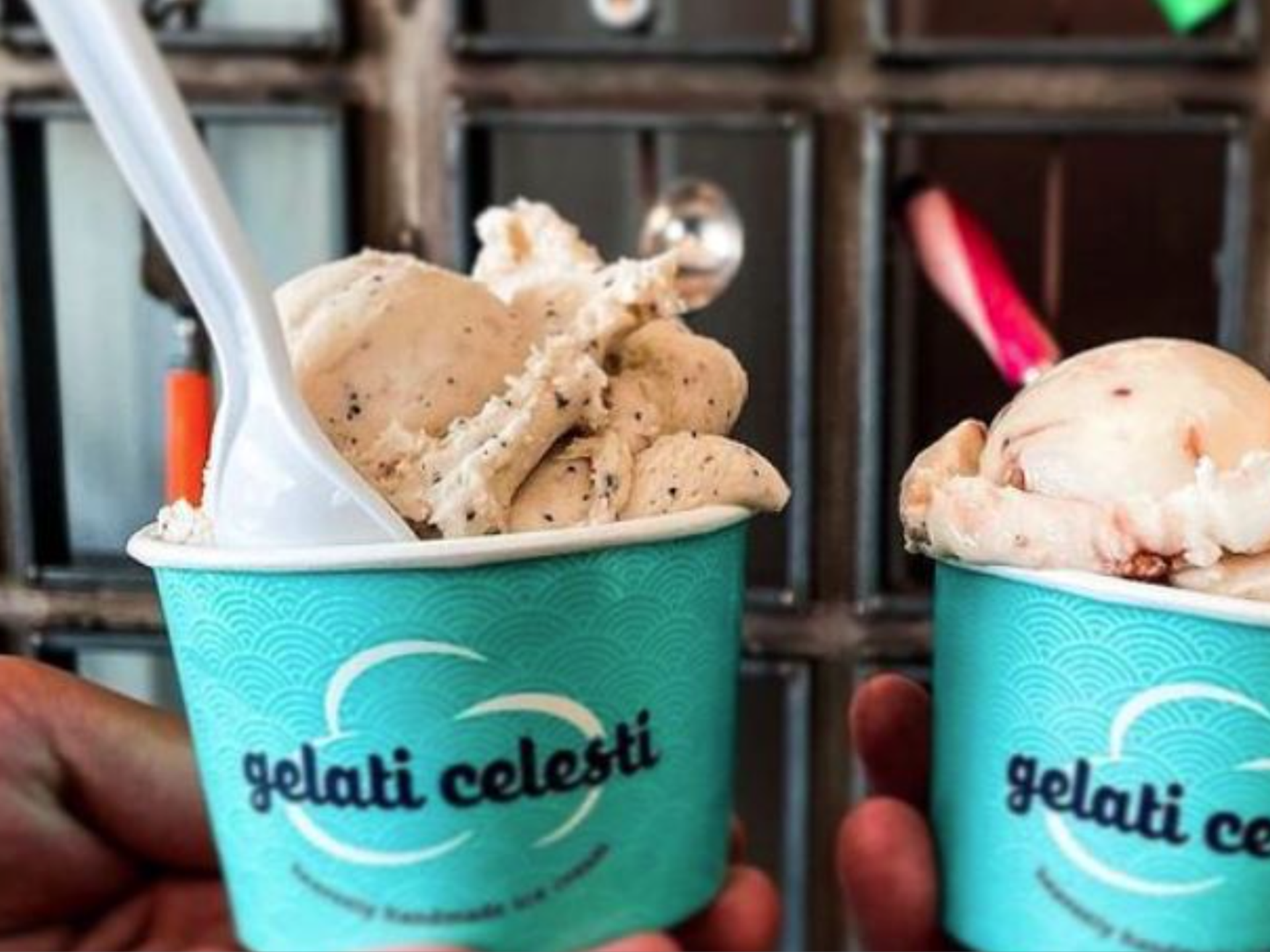 Designing for Growth – Gelati Celesti's Newest Ice Cream Shop Interior  Design Reveal — Campfire & Co