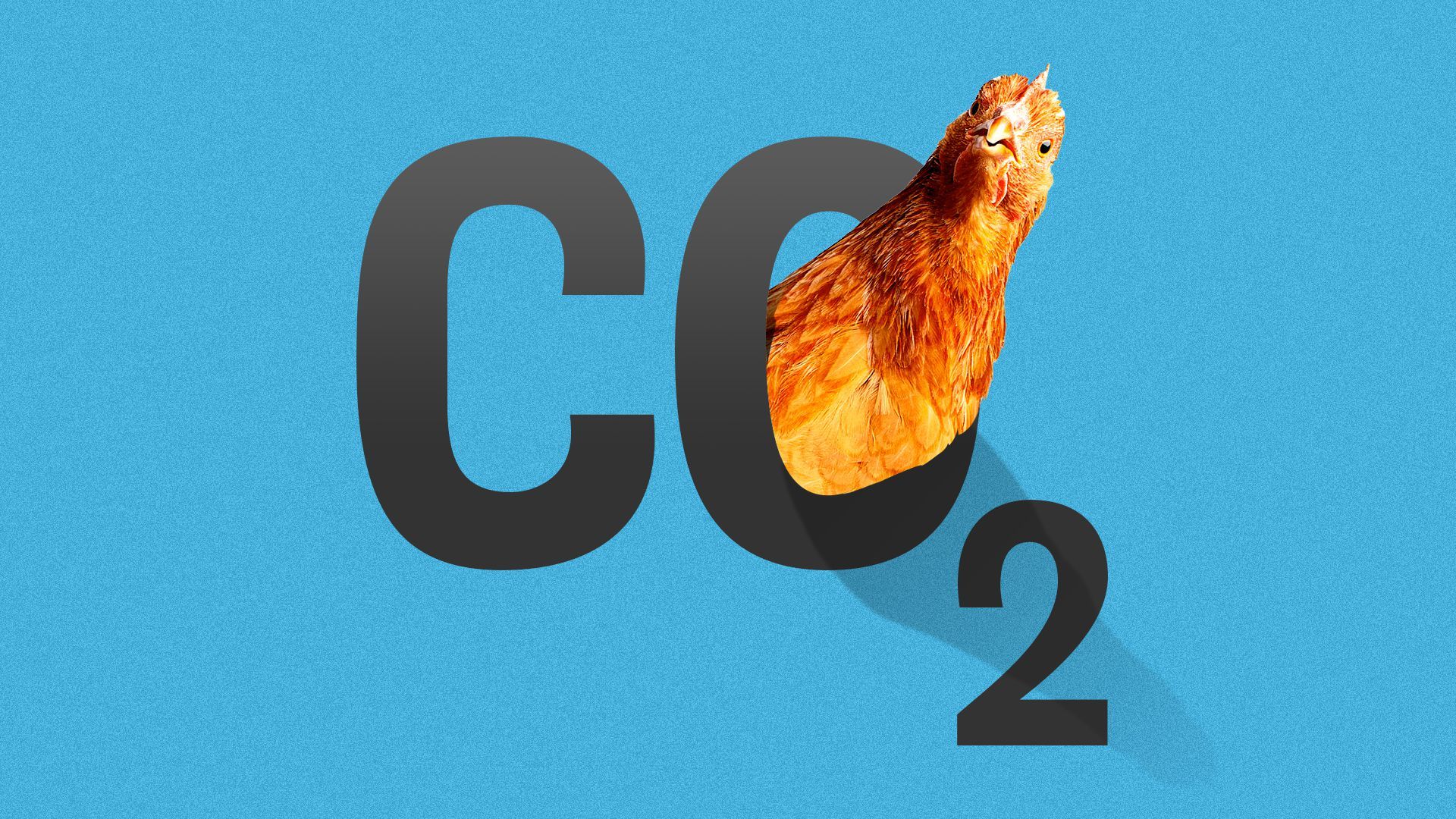 Illustration of a chicken poking his head through the zero in "C02."