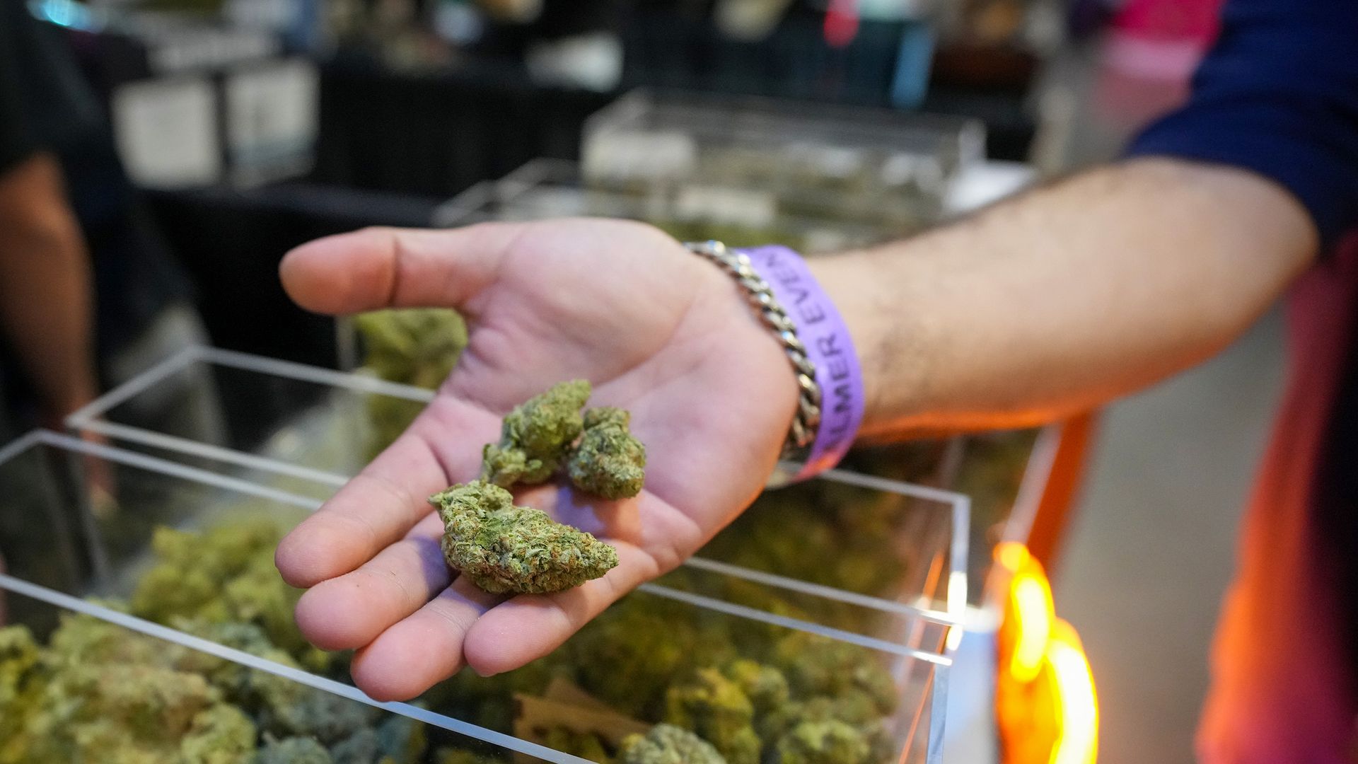 A man looks at cannabis flower displayed by a wholesaler at a trade show in Austin, Texas, focused on cannabis and counterculture businesses.
