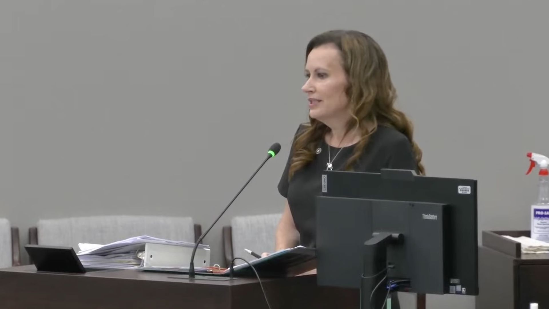 Tricia Cotham speaks into a mic