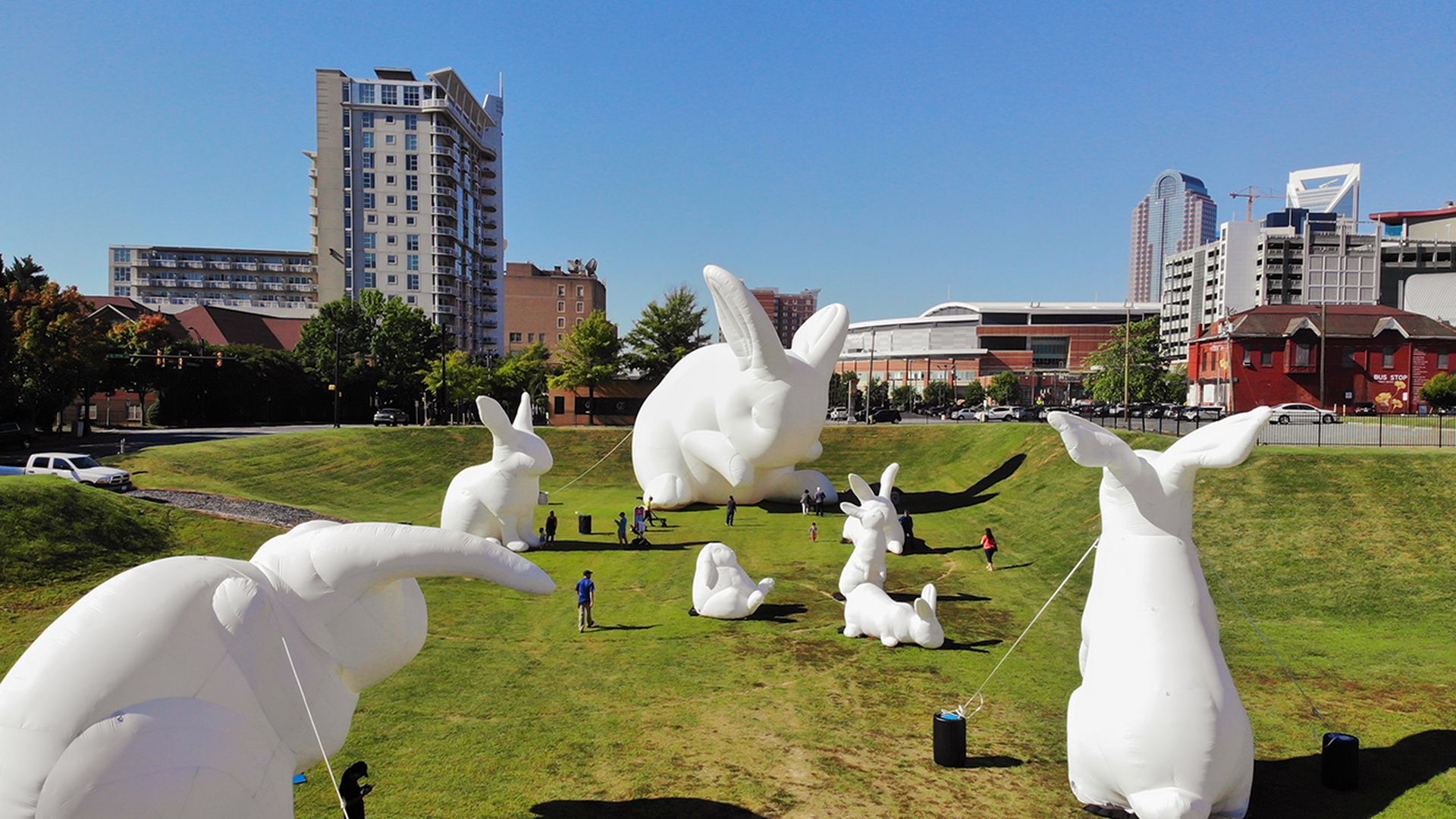 giant bunnies uptown