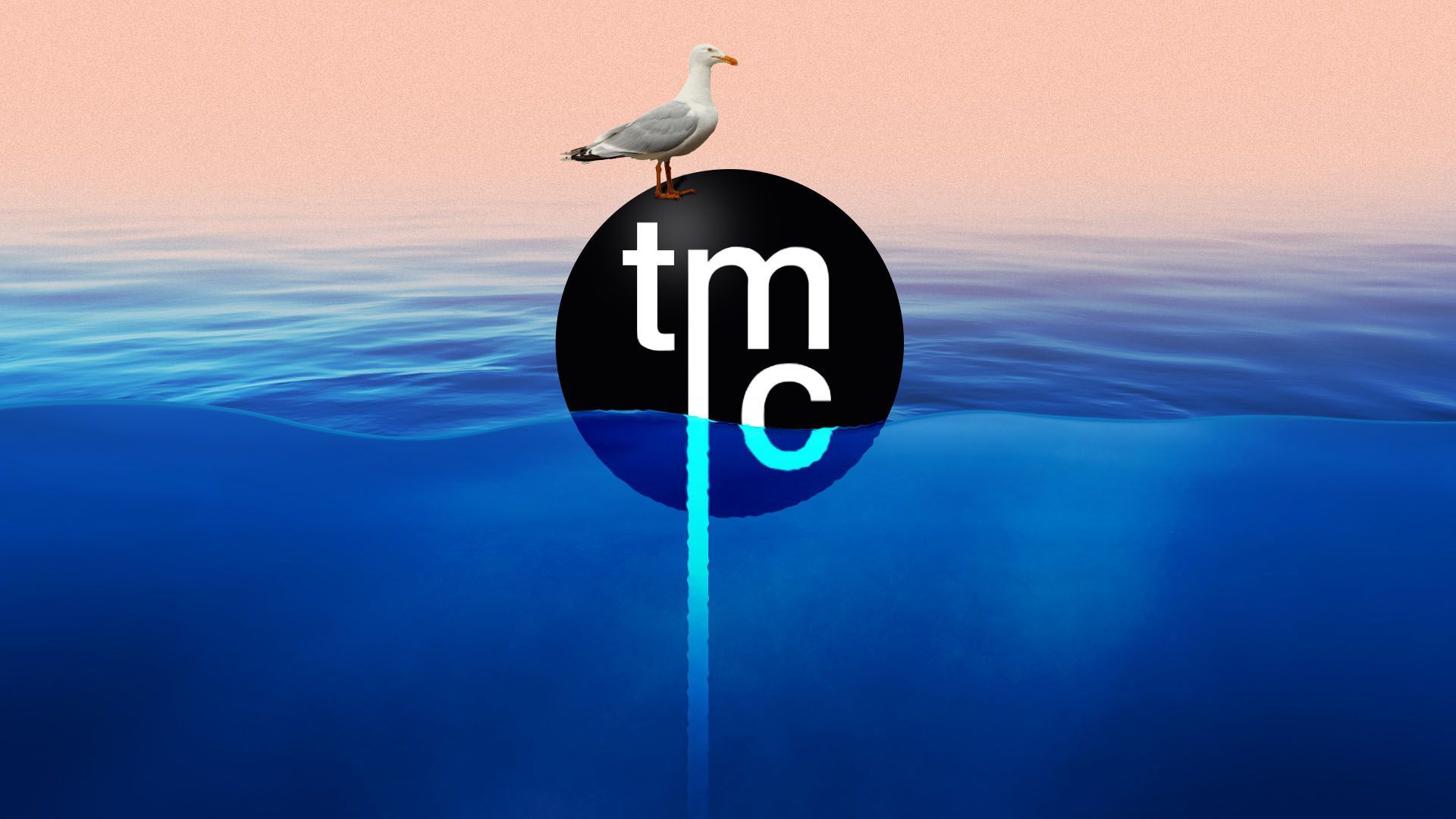 Illustration of the Metal Company logo floating in the ocean with a seagull on top of it
