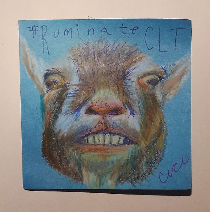 post-it-goat-cece-stronach