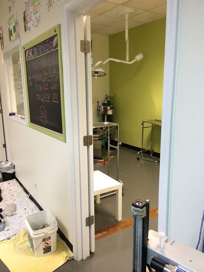 pet-operating-room
