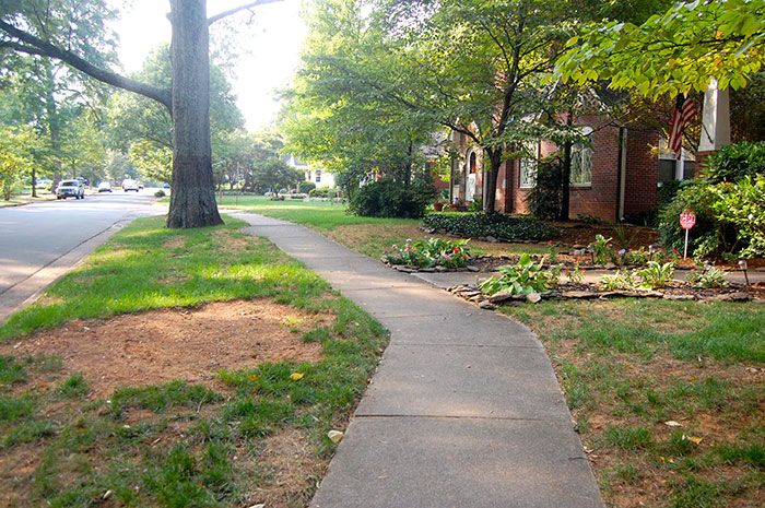 Chantilly walkability