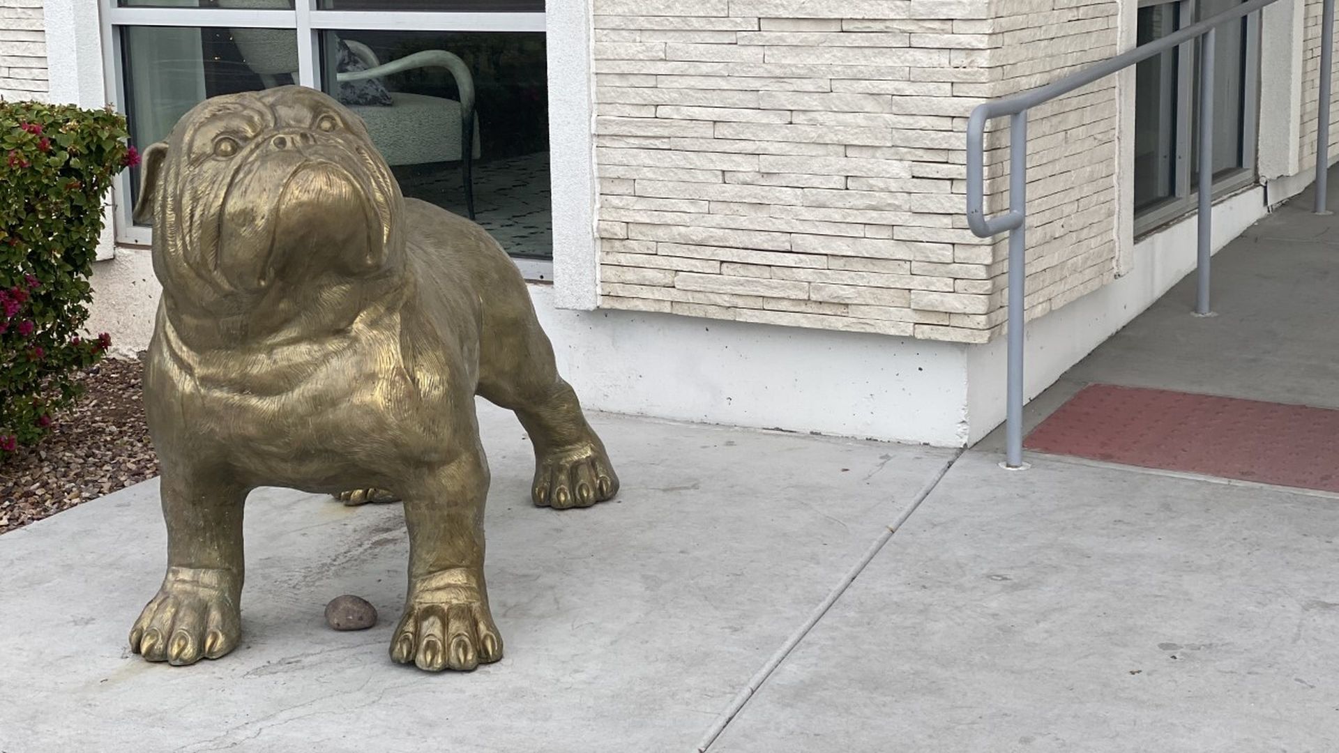 A bronze sculpture of a bulldog in front of a building.
