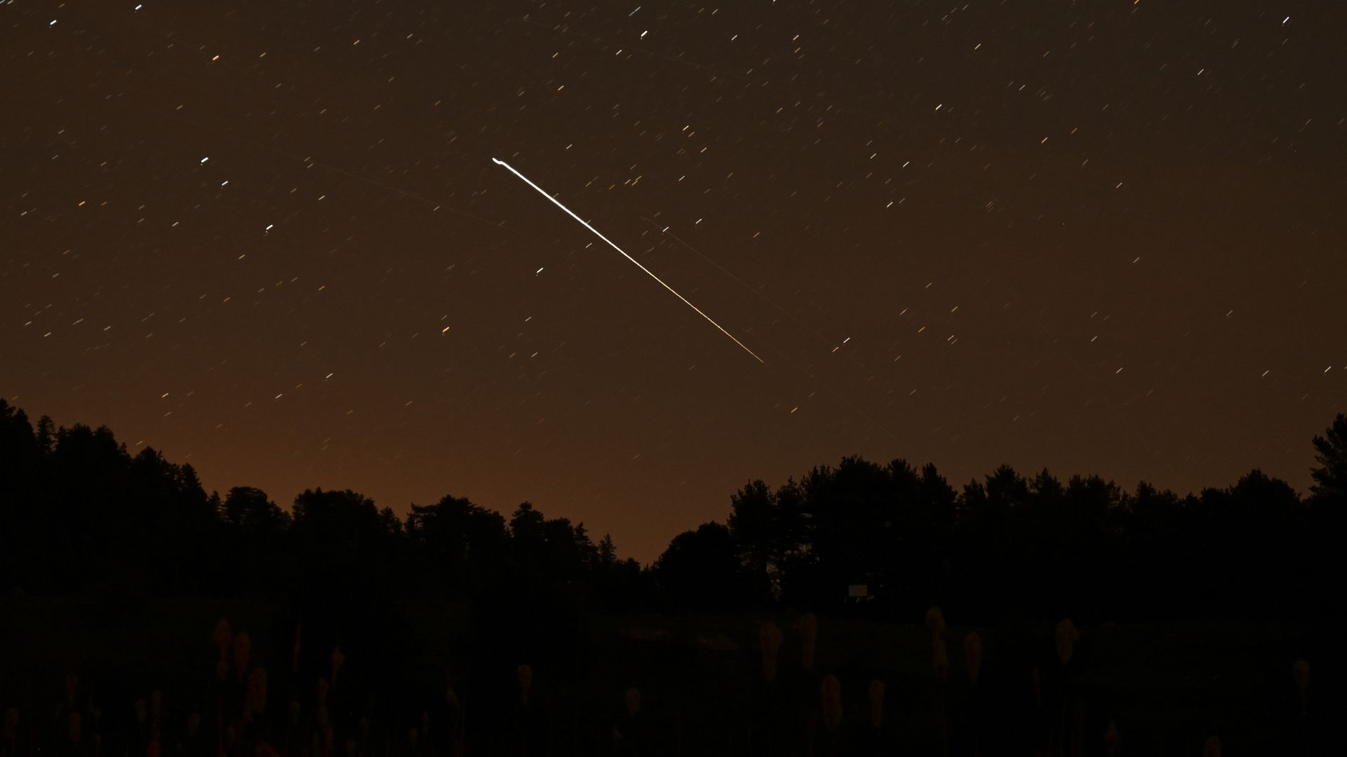 Long-exposure night sky with star trails and a bright diagonal streak, orange horizon glow, and silhouettes of trees in the foreground.