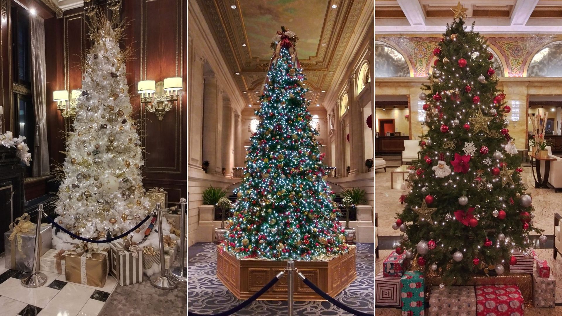 Christmas trees in a lobby. 