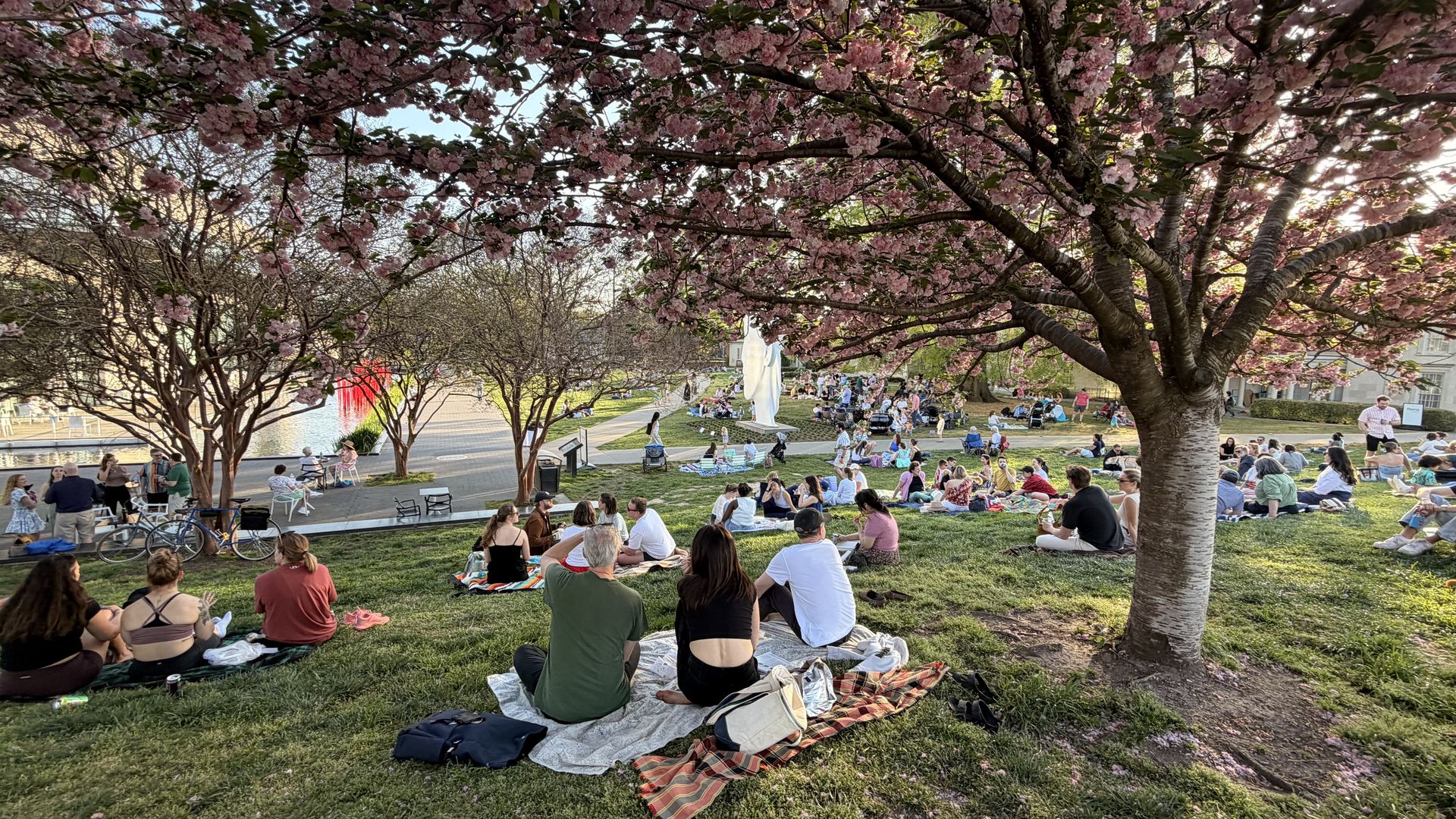 Spring park scene with pink cherry blossoms overhead. People picnic on blankets on the grass, a white statue near a path, bicycles nearby, and a lake on the left.
